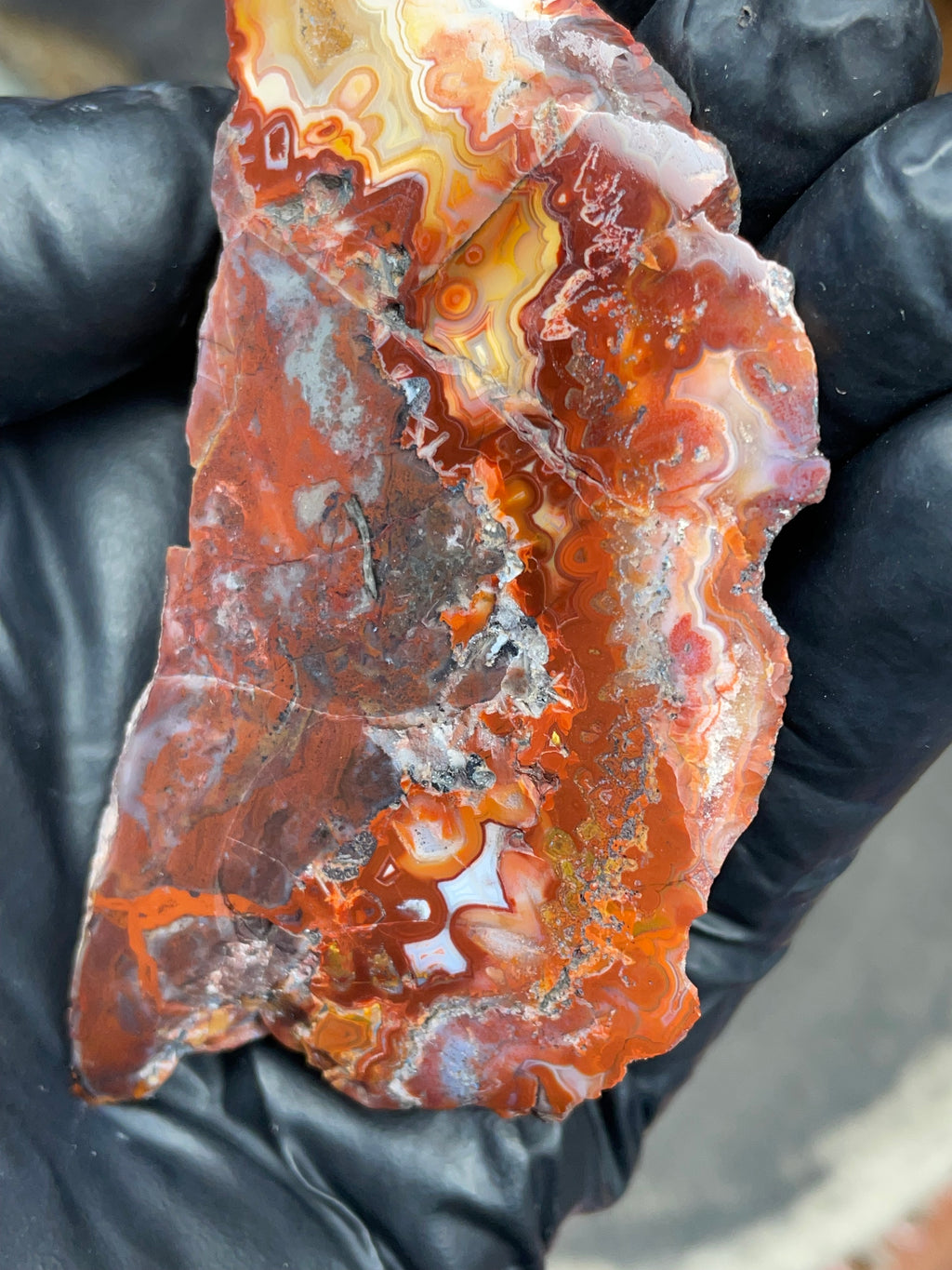 StoneBorn Creations — Hand-Polished Banded Agate (Curved Flat-Lap Polish)
