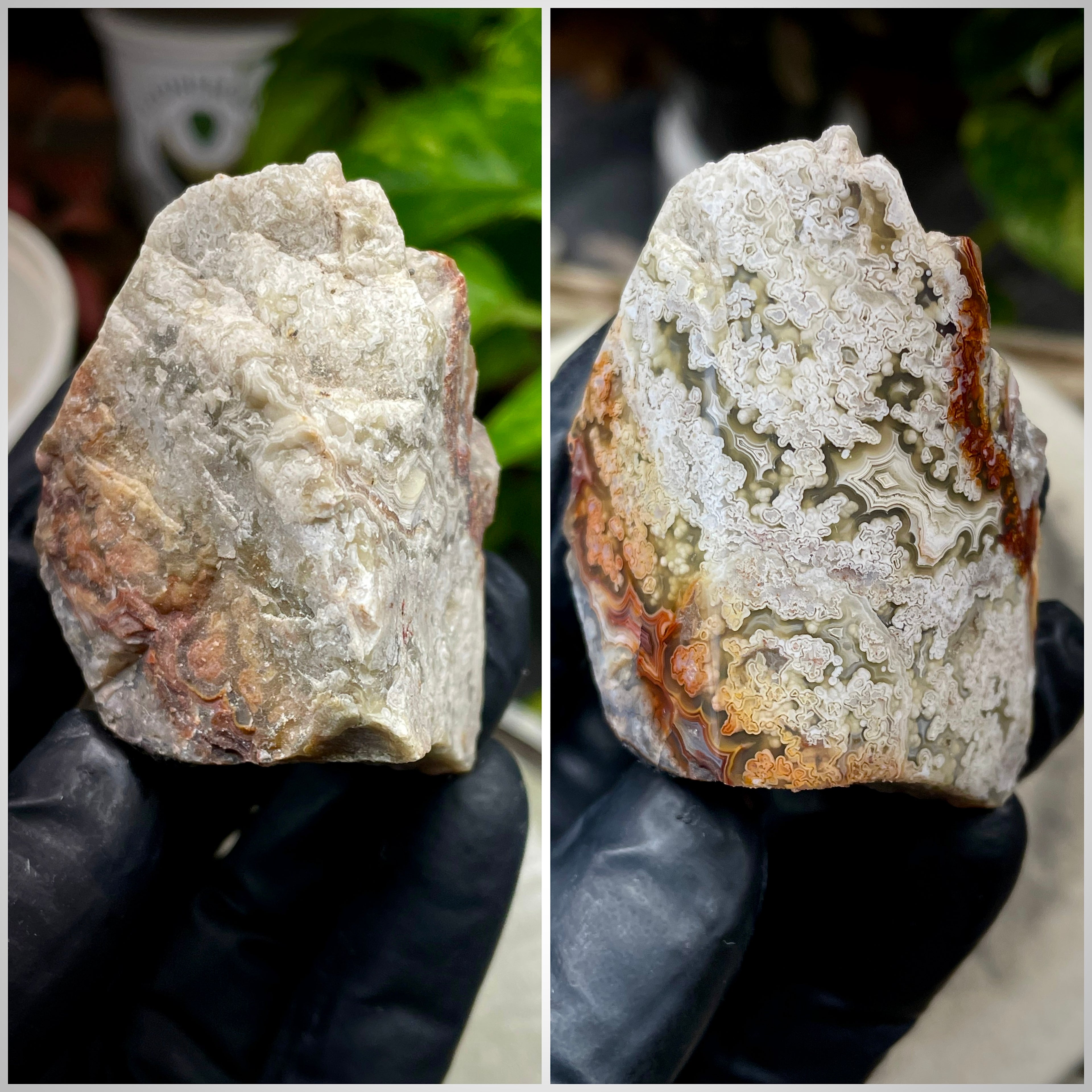 StoneBorn Creations Hand-Polished Lace Agate with Intricate White Plume Banding, Earth Tones & Natural Freeform Finish