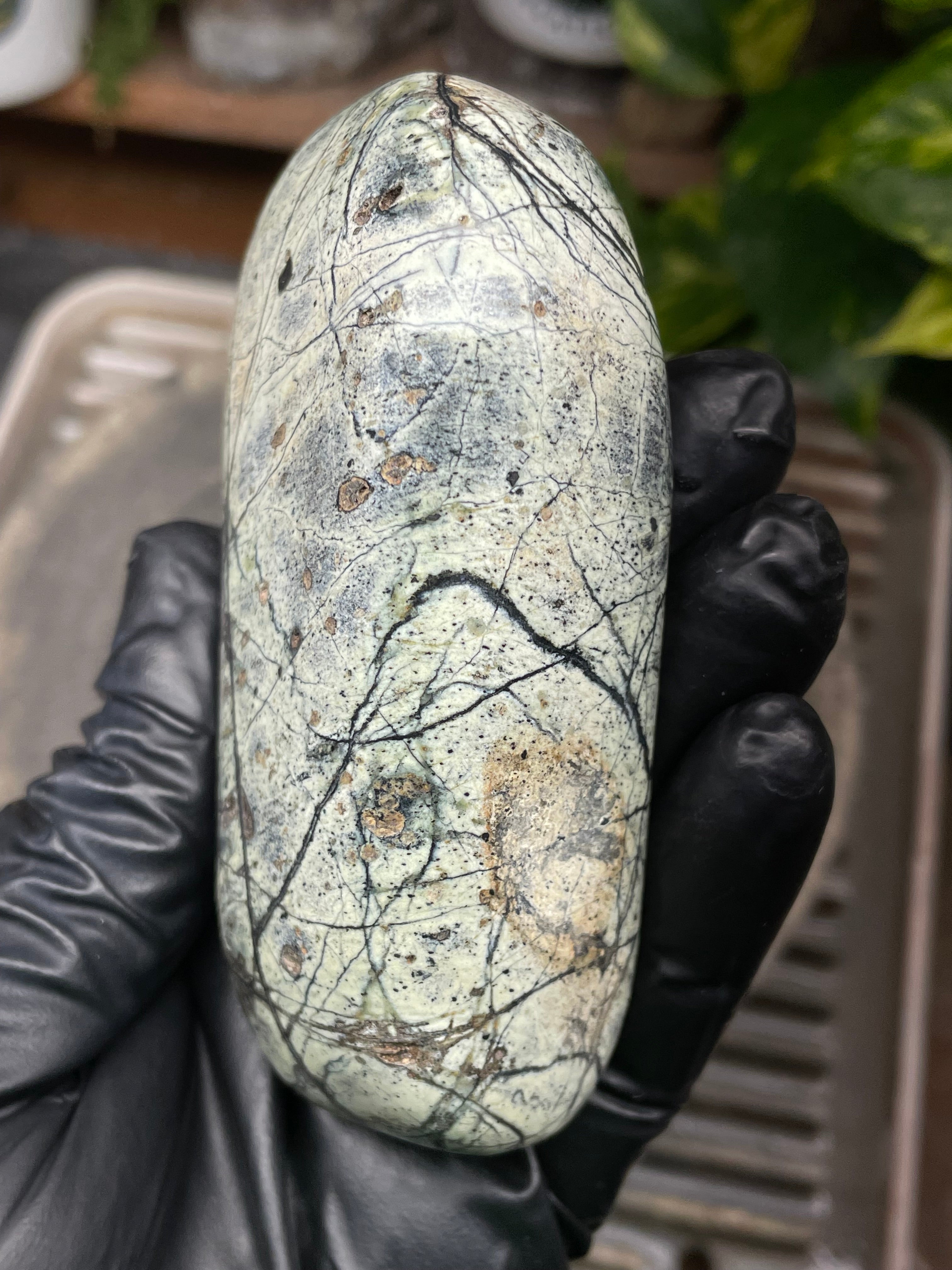 StoneBorn Creations Hand-Polished Vermont Serpentine with Spiderweb Veining, Soft Ivory Green Tones, and Natural Earth Markings