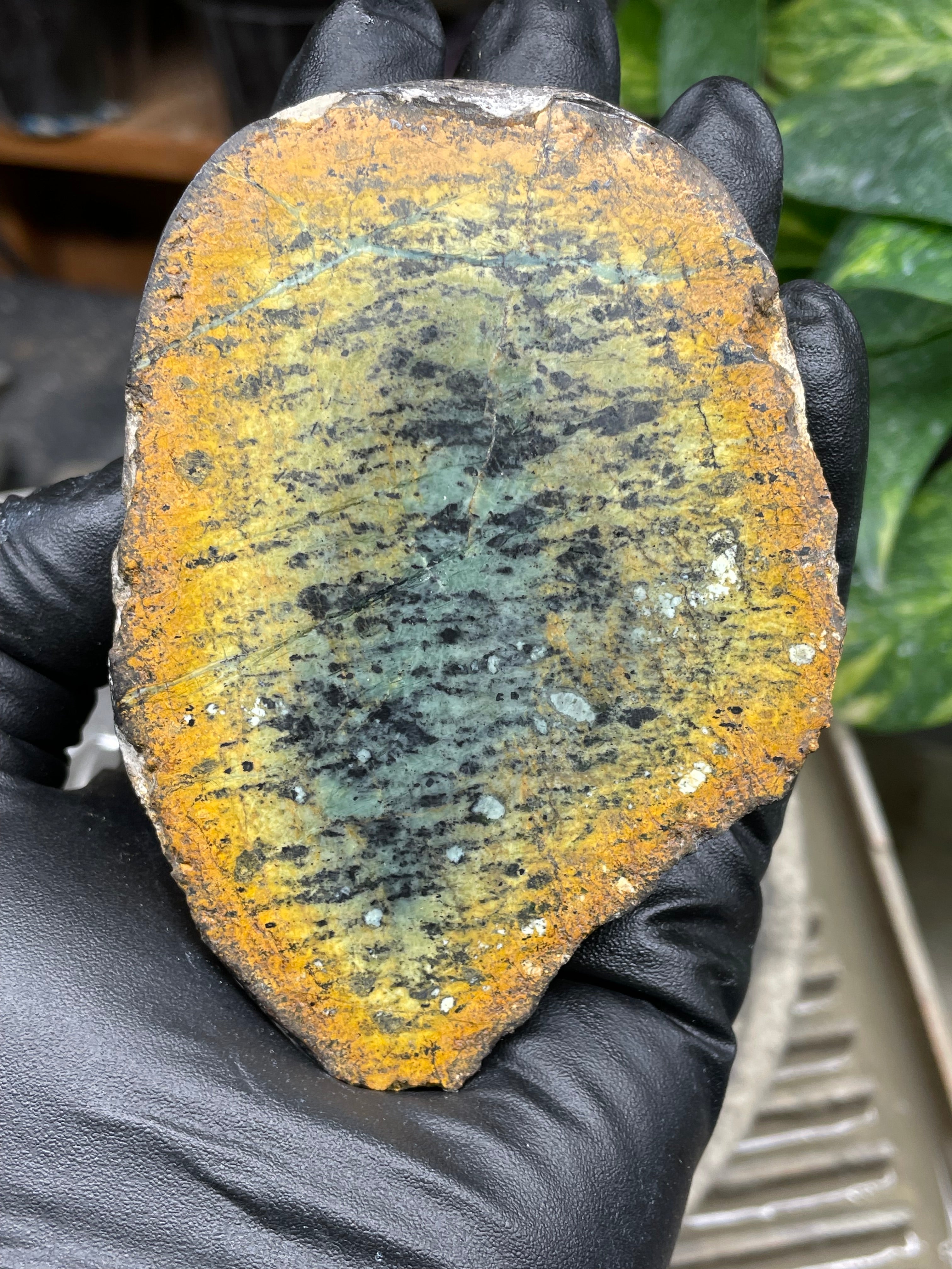 StoneBorn Creations Hand-Polished Vermont Greenstone Pair with Earthy Ochre Weathering and Natural Black Mineral Patterning – Freeform Display Halves
