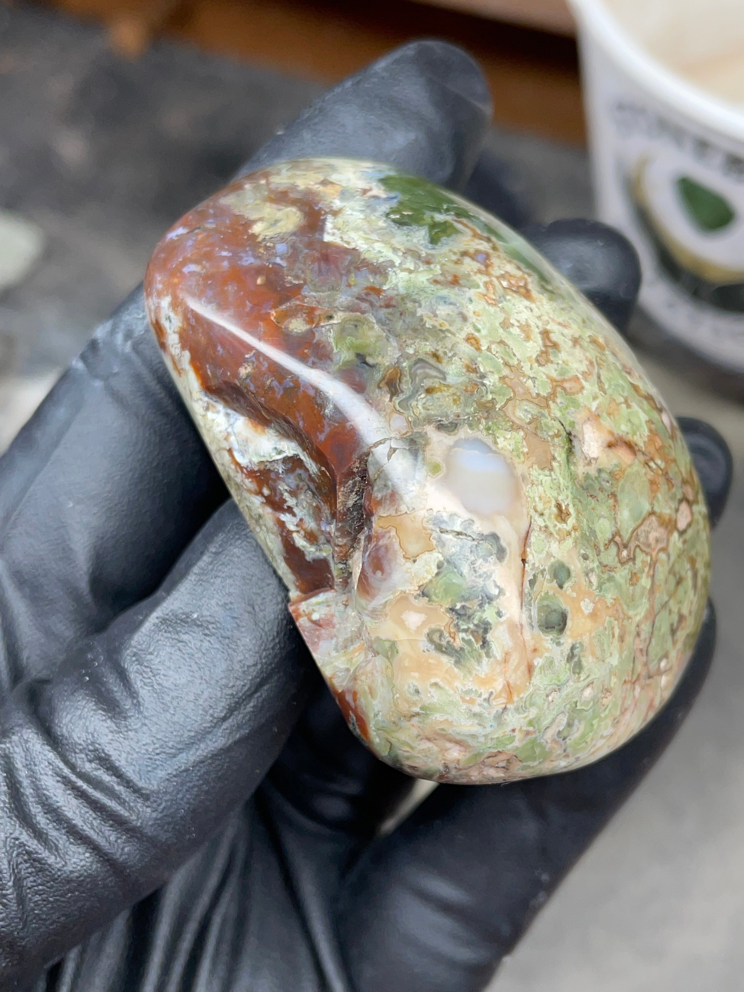 StoneBorn Creations Hand-Polished Multicolor Lace Agate with Natural Green and Rust Patterns – One-of-a-Kind Display Stone