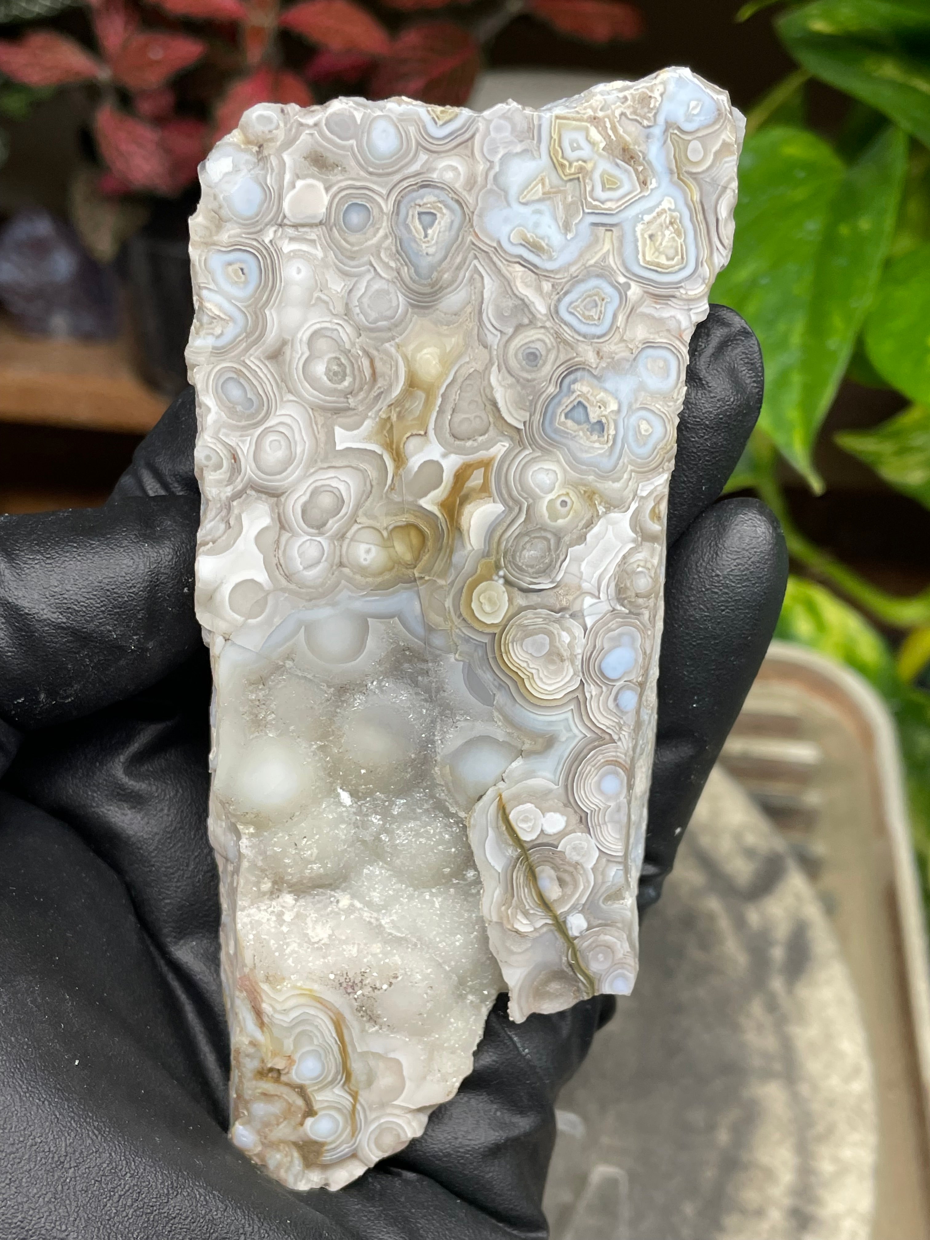 StoneBorn Creations Hand-Polished Lace Agate Pair – River Cut Matching Display Halves with Druzy Crystal Pockets & Intricate Natural Banding