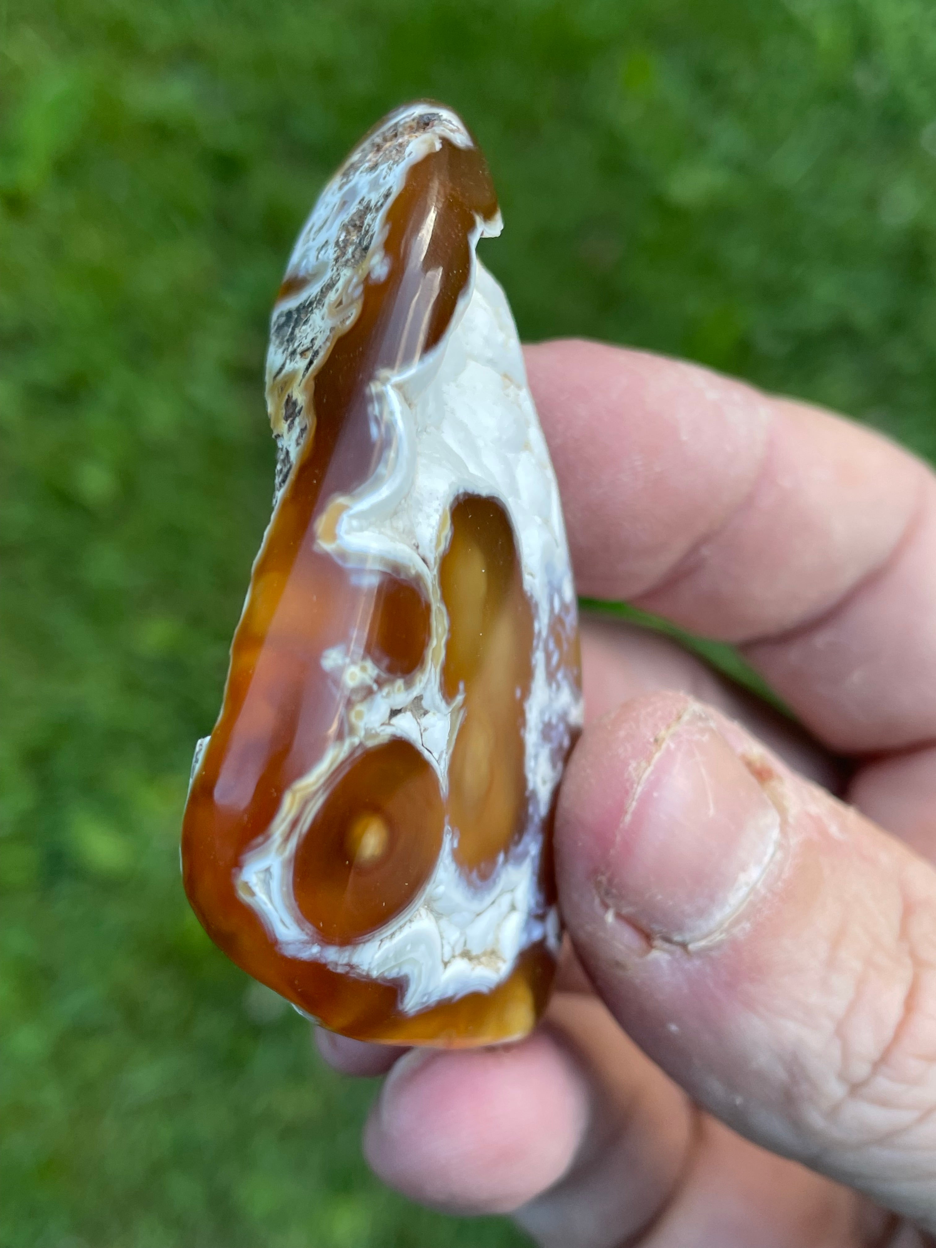 StoneBorn Creations Hand-Polished Agatized Coral Freeform with Amber Chalcedony, Orbicular Eyes & UV Fluorescence