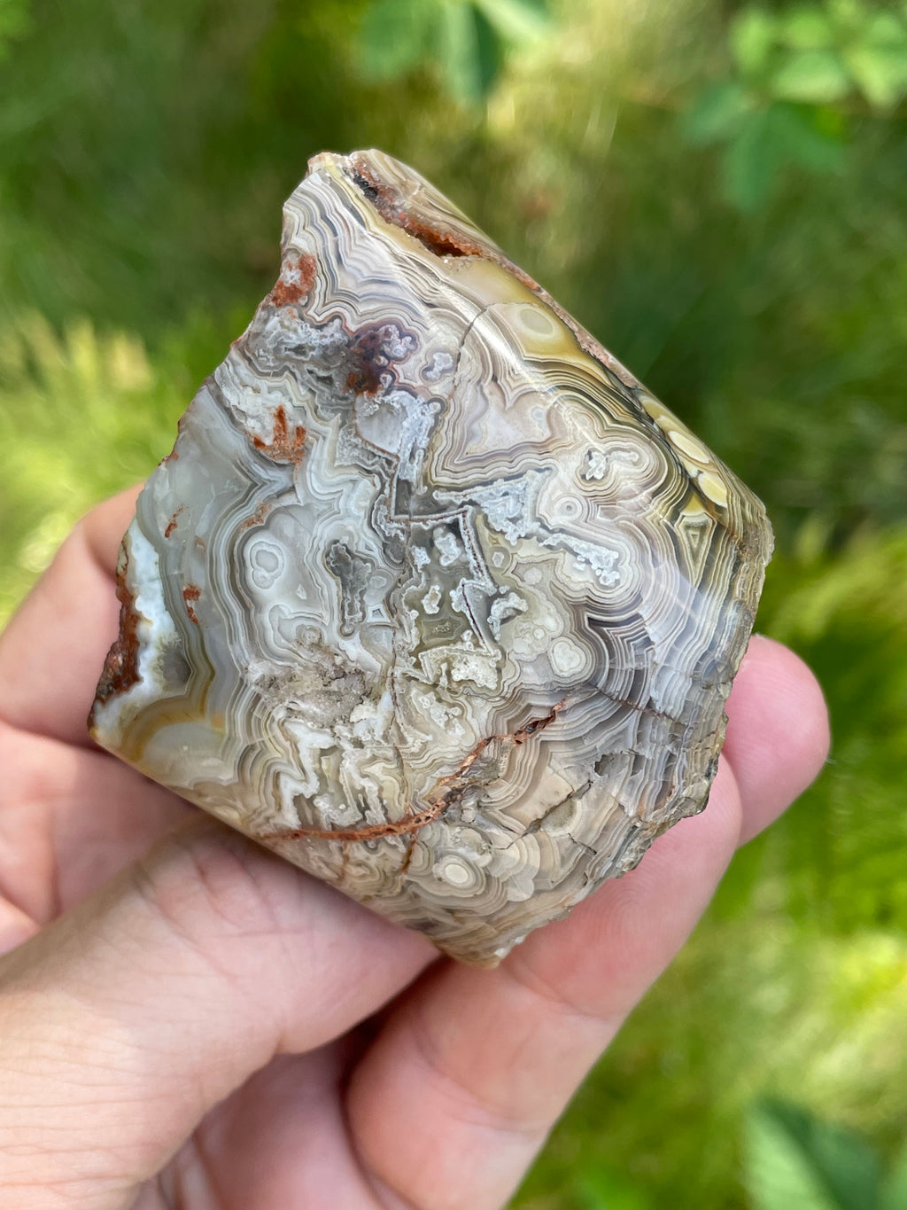 StoneBorn Creations Hand-Polished Lace Agate Freeform with Intricate Fortification Banding, Orbicular Eyes & Natural Druzy Quartz Pocket
