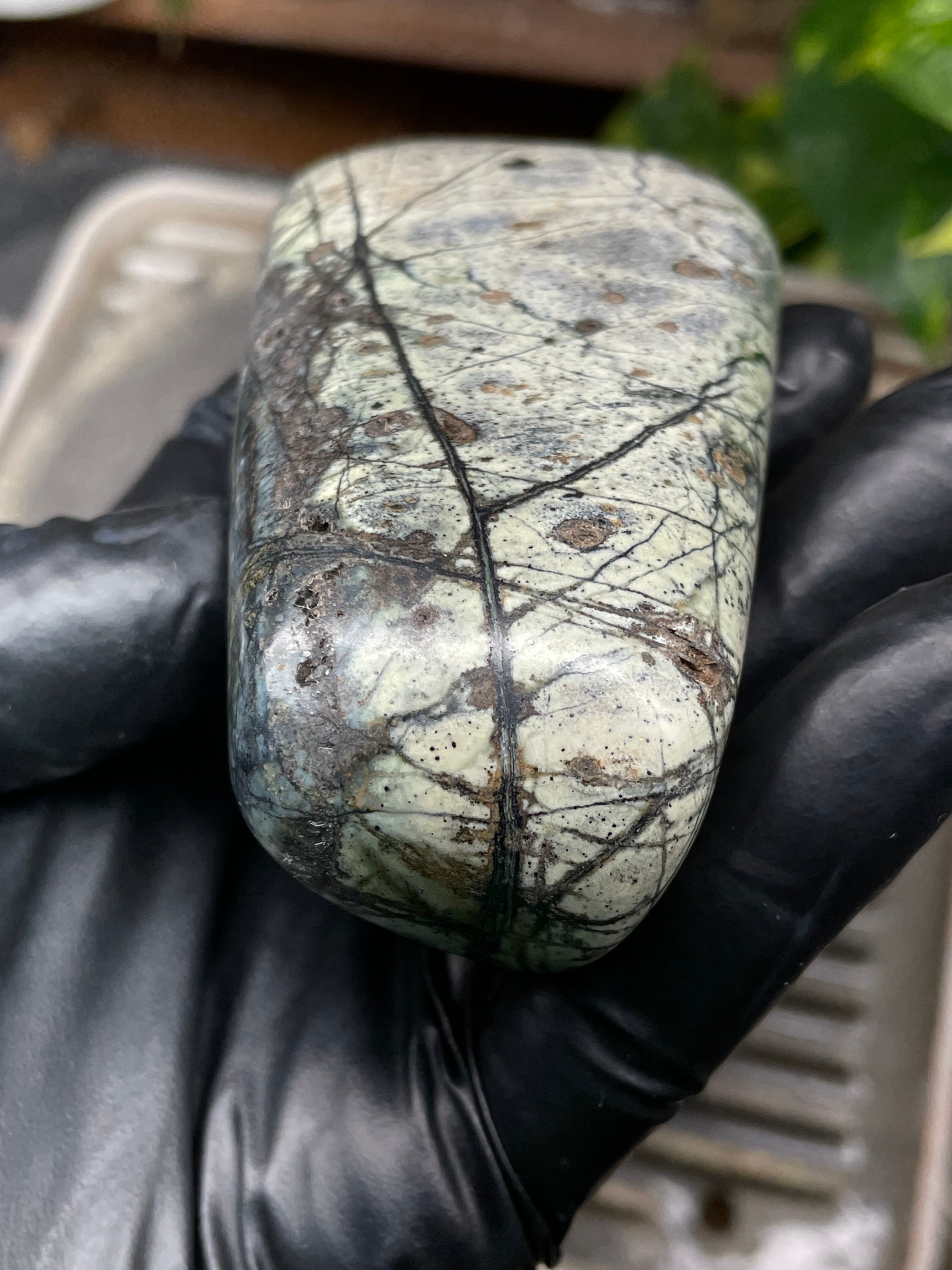 StoneBorn Creations Hand-Polished Vermont Serpentine with Spiderweb Veining, Soft Ivory Green Tones, and Natural Earth Markings