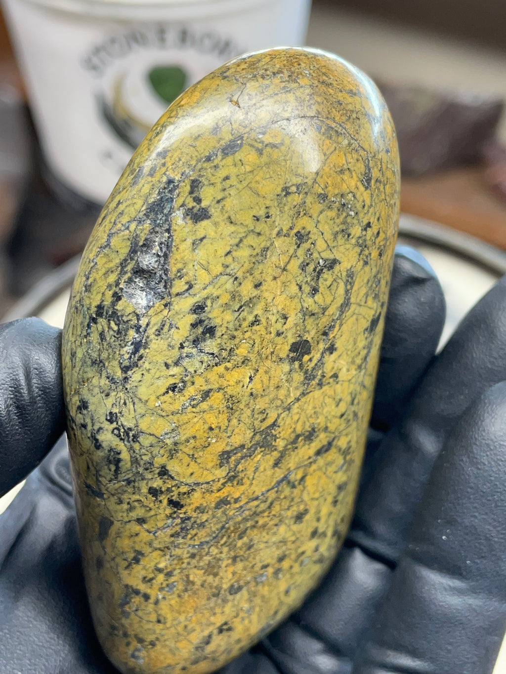 StoneBorn | Hand-Polished Serpentine Earth Stone