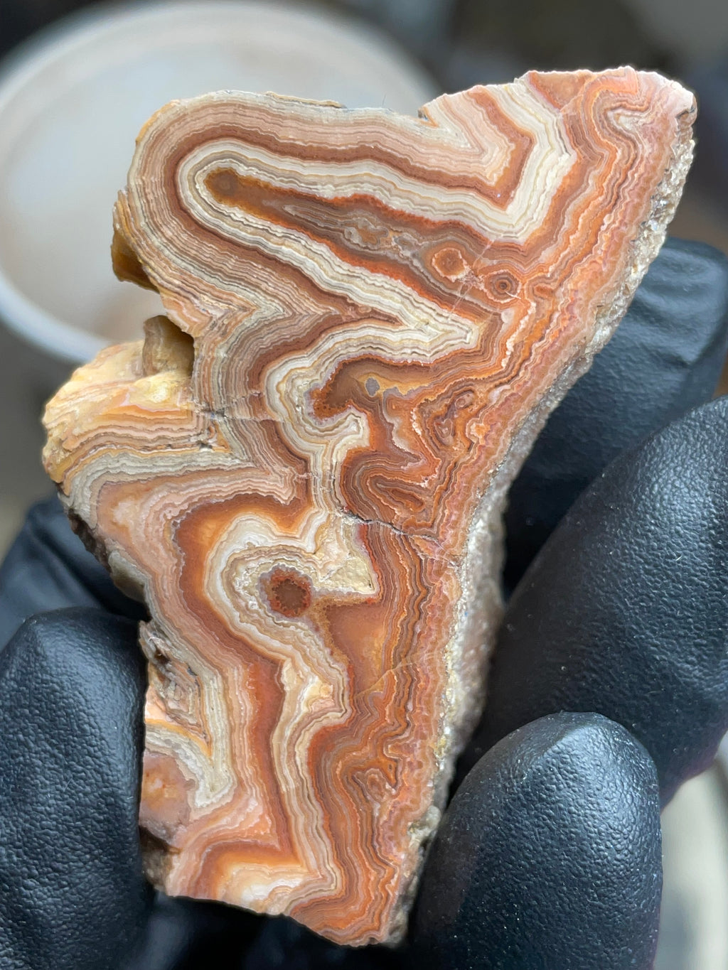 Hand-Polished Georgia Agate – Flat Polished Face, Natural Raw Edge