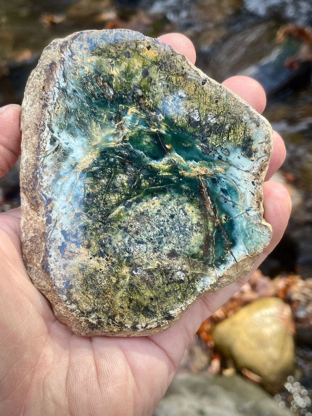 The Viral Vermont “Forest Heart” Stone • Polished Serpentine/Jadeite Mix • As Seen by Millions