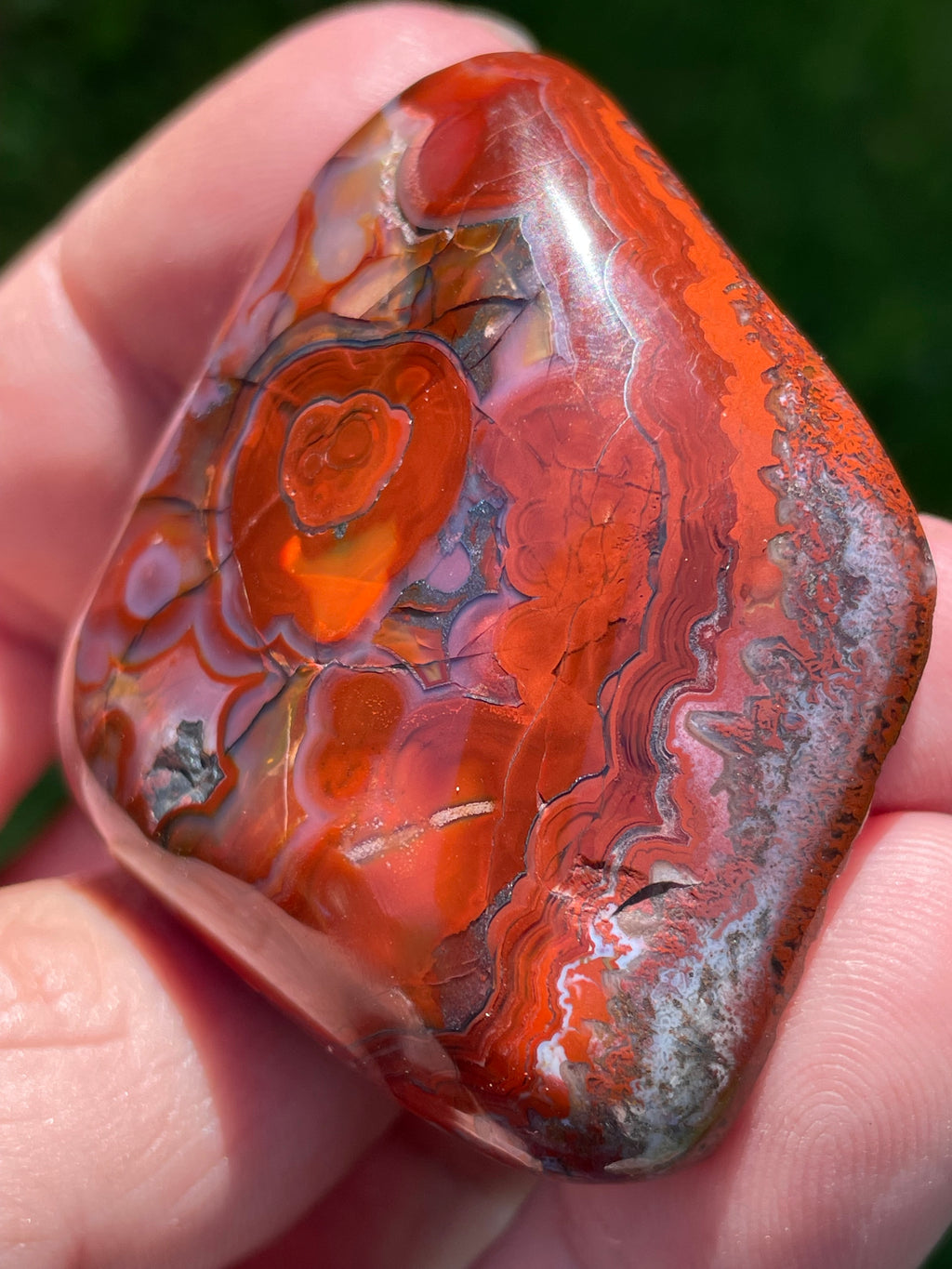 StoneBorn Creations Hand-Polished Lace Agate Freeform with Bold Red Plumes, Fortification Banding & Natural Matrix