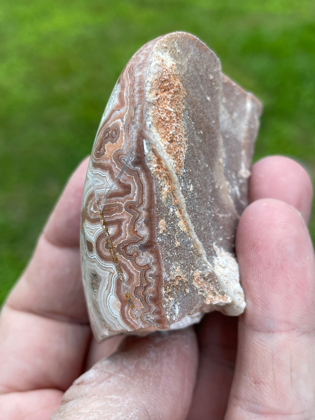 StoneBorn Creations Hand-Polished Georgia Crazy Lace Agate Freeform Display Stone – One-of-a-Kind Natural Art