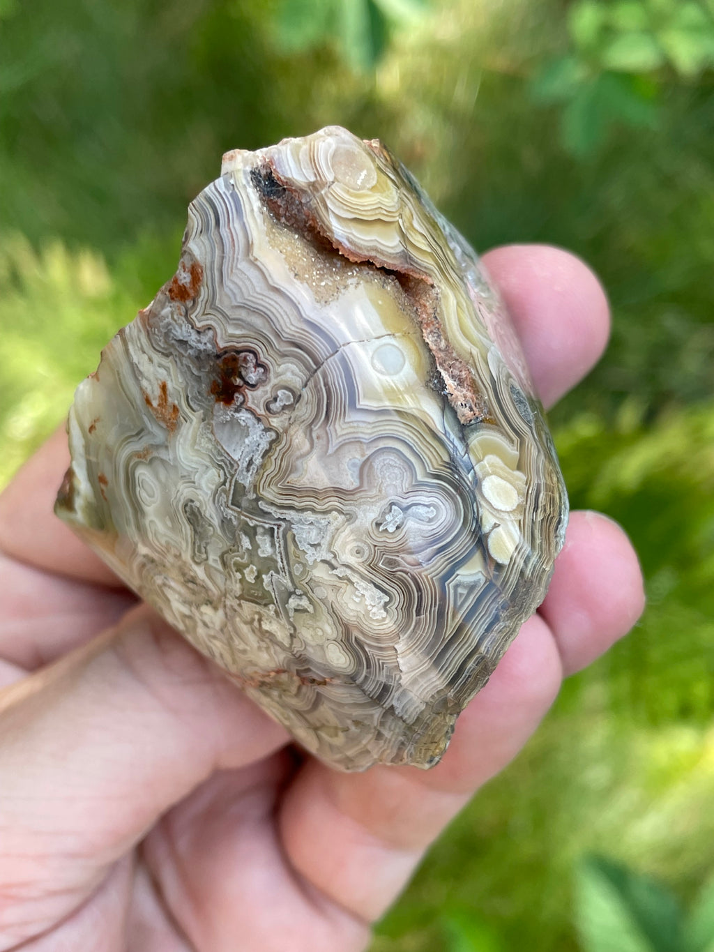StoneBorn Creations Hand-Polished Lace Agate Freeform with Intricate Fortification Banding, Orbicular Eyes & Natural Druzy Quartz Pocket