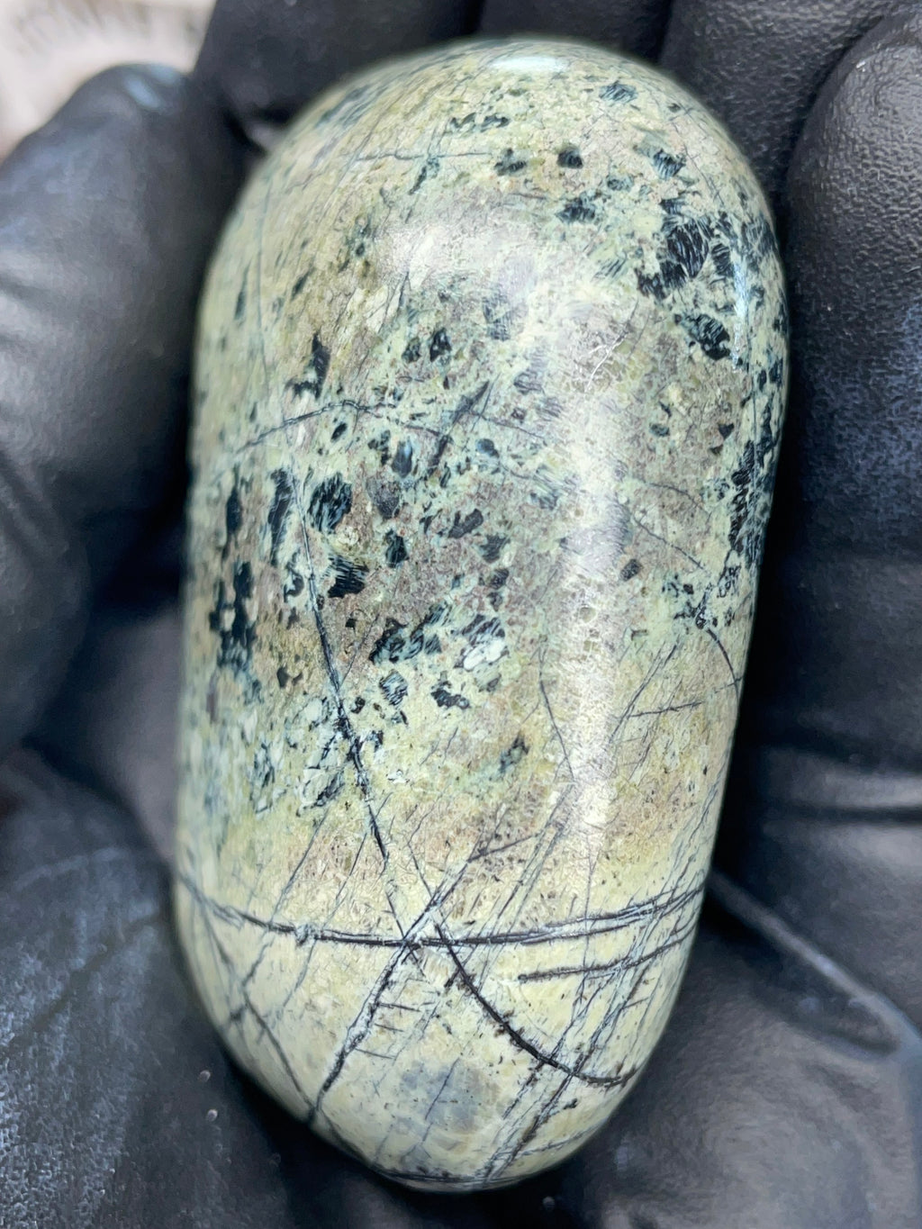 Hand Polished Veined Serpentine • StoneBorn Original