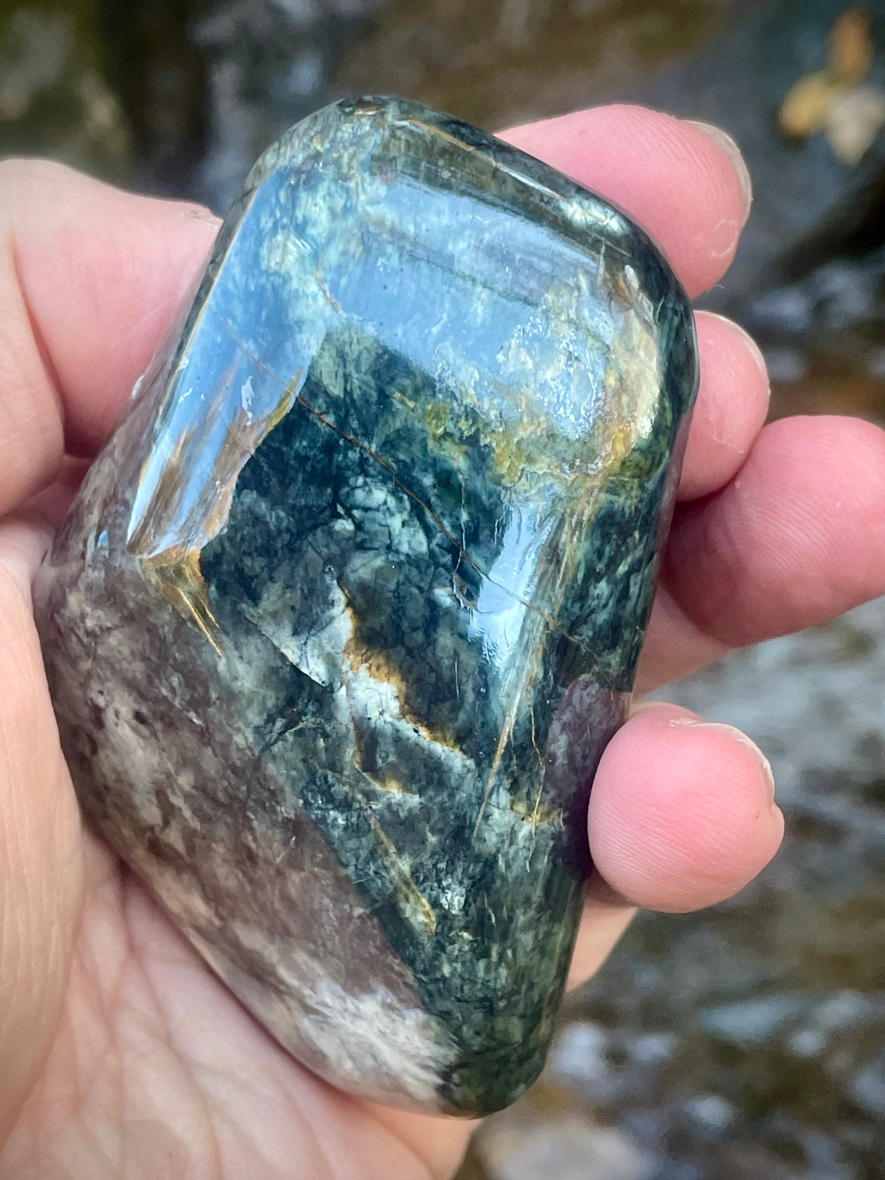 Polished Vermont Actinolite With Golden Tremolite Blades • Rare Crystal Formation