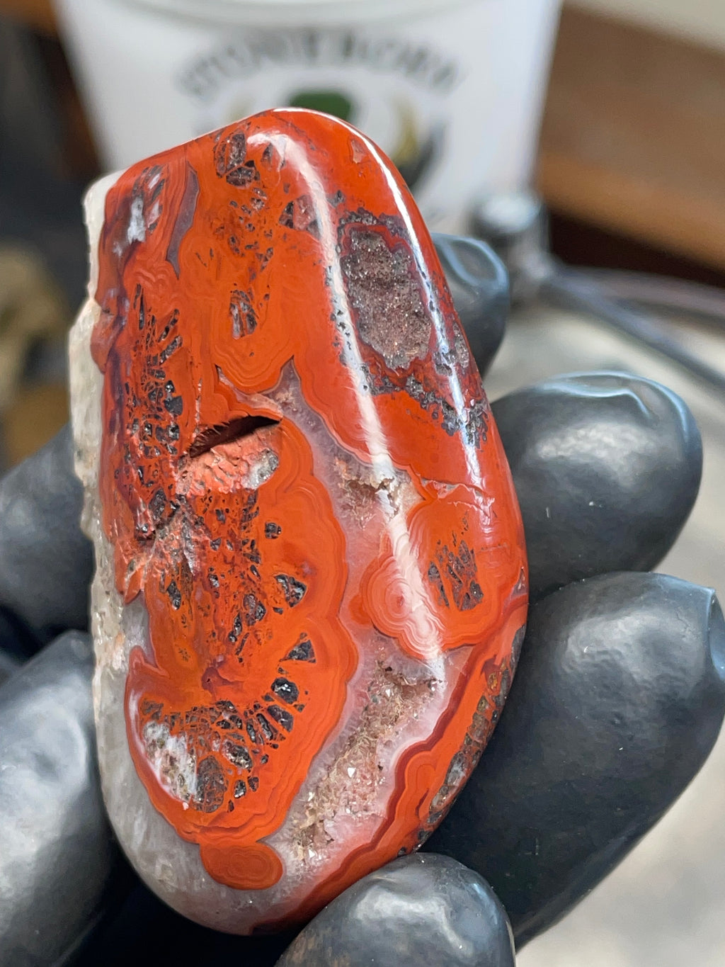 Fire-Pattern Agate with Quartz Pocket | Hand-Polished StoneBorn Creation