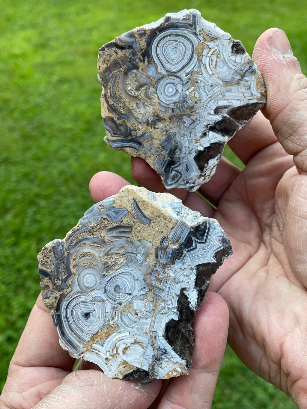 StoneBorn Creations Hand-Polished Tuxedo Lace Agate Bookmatched Pair | One-of-a-Kind Natural Display Stones
