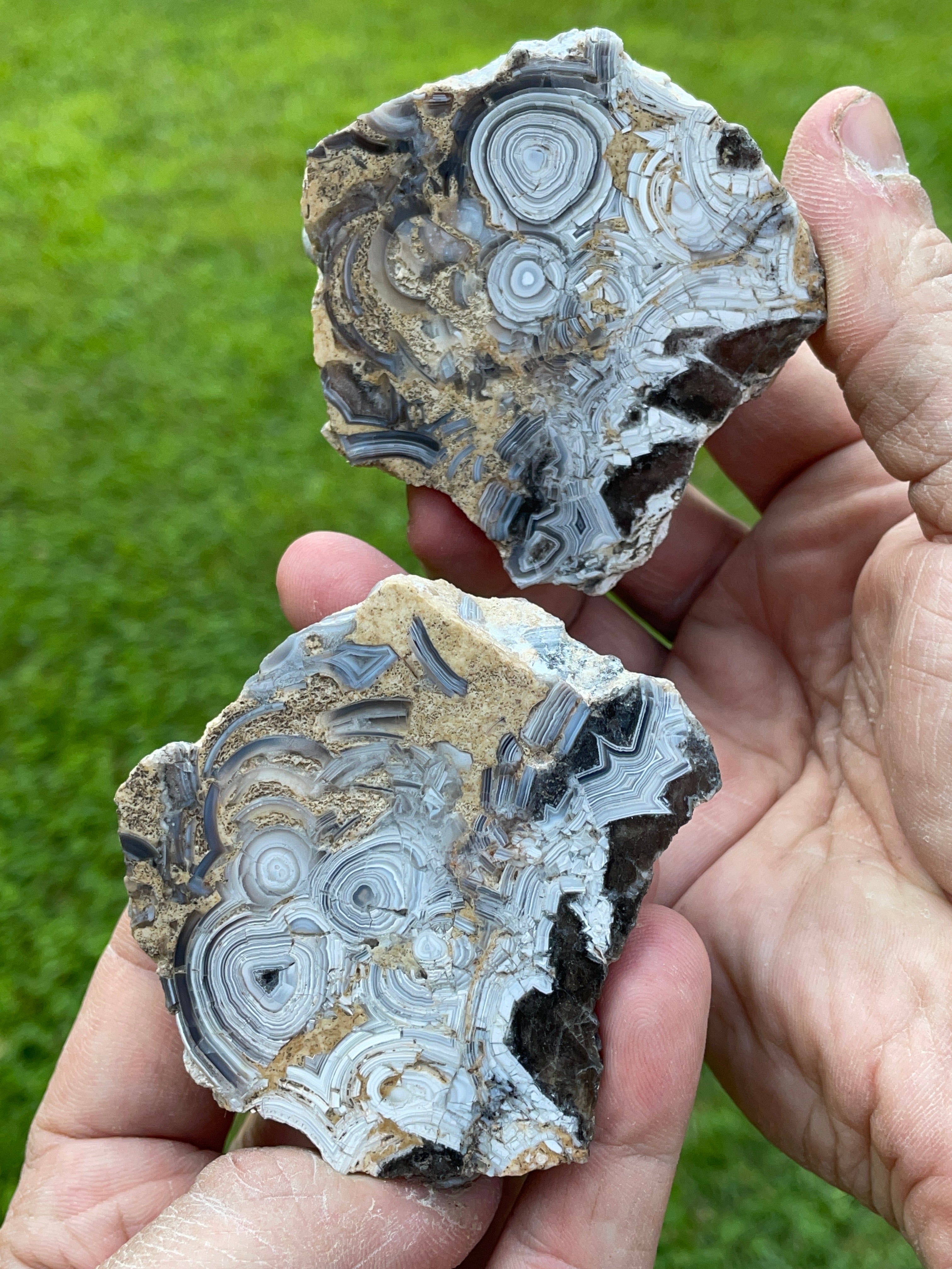 StoneBorn Creations Hand-Polished Tuxedo Lace Agate Bookmatched Pair | One-of-a-Kind Natural Display Stones