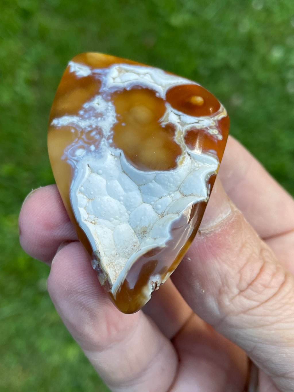 StoneBorn Creations Hand-Polished Agatized Coral Freeform with Amber Chalcedony, Orbicular Eyes & UV Fluorescence