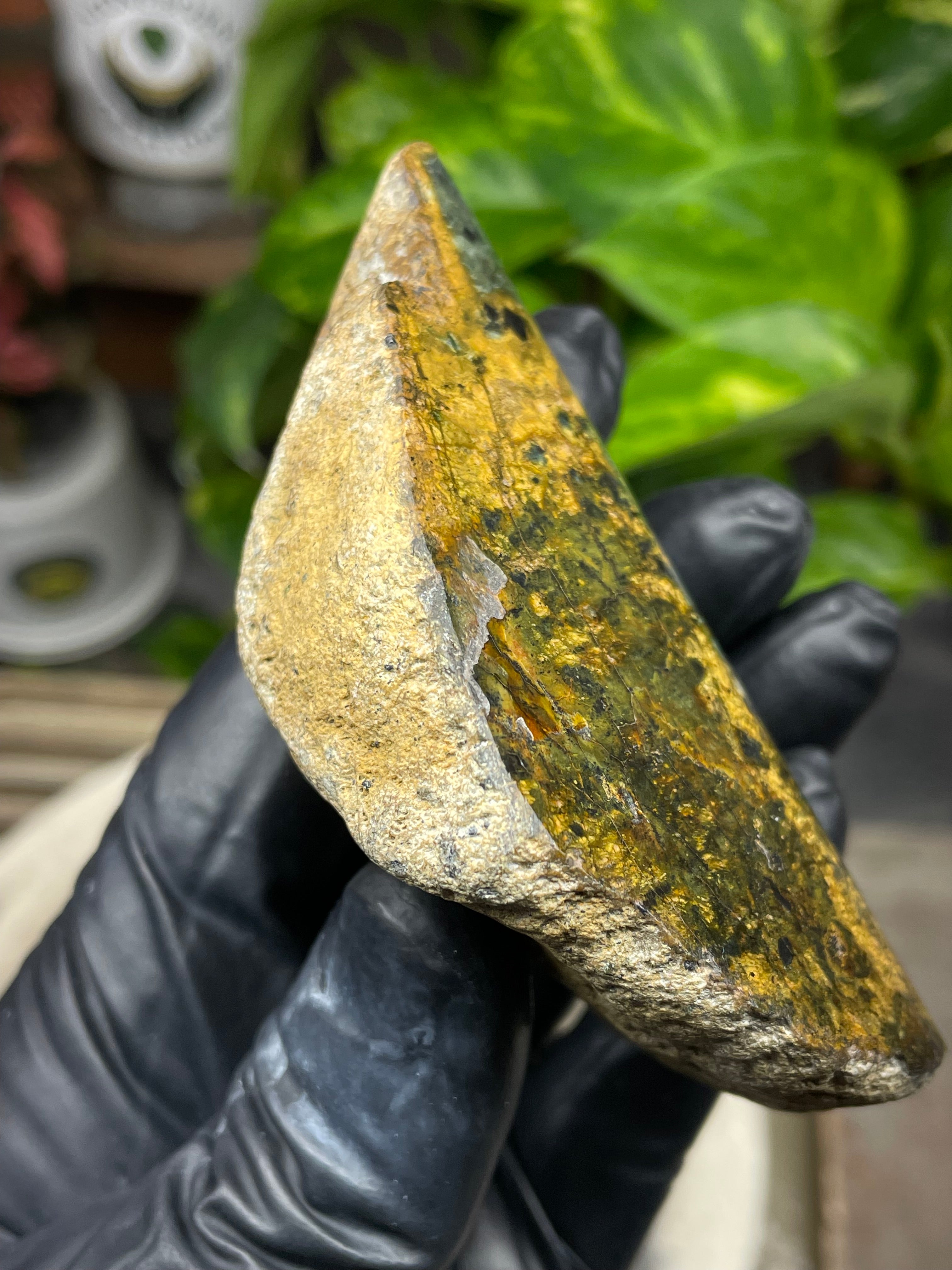 StoneBorn Creations Hand-Polished Vermont Greenstone with Golden Earth Matrix, Speckled Mineral Inclusions & Freeform Curved Finish