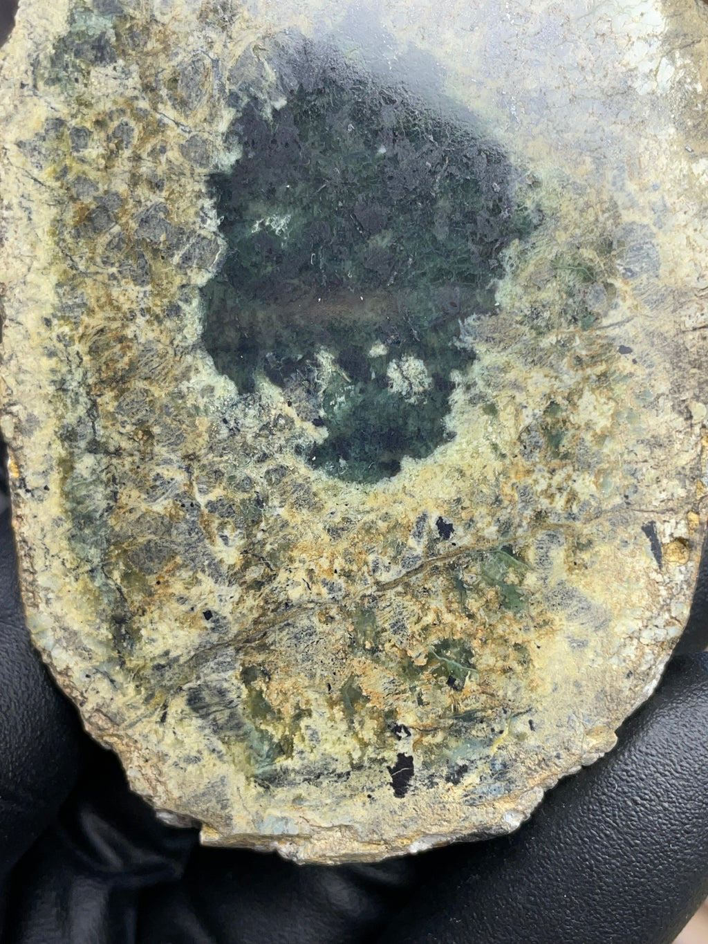 Hand-Collected Serpentine with Natural Jade Core | Raw & Polished StoneBorn Specimen