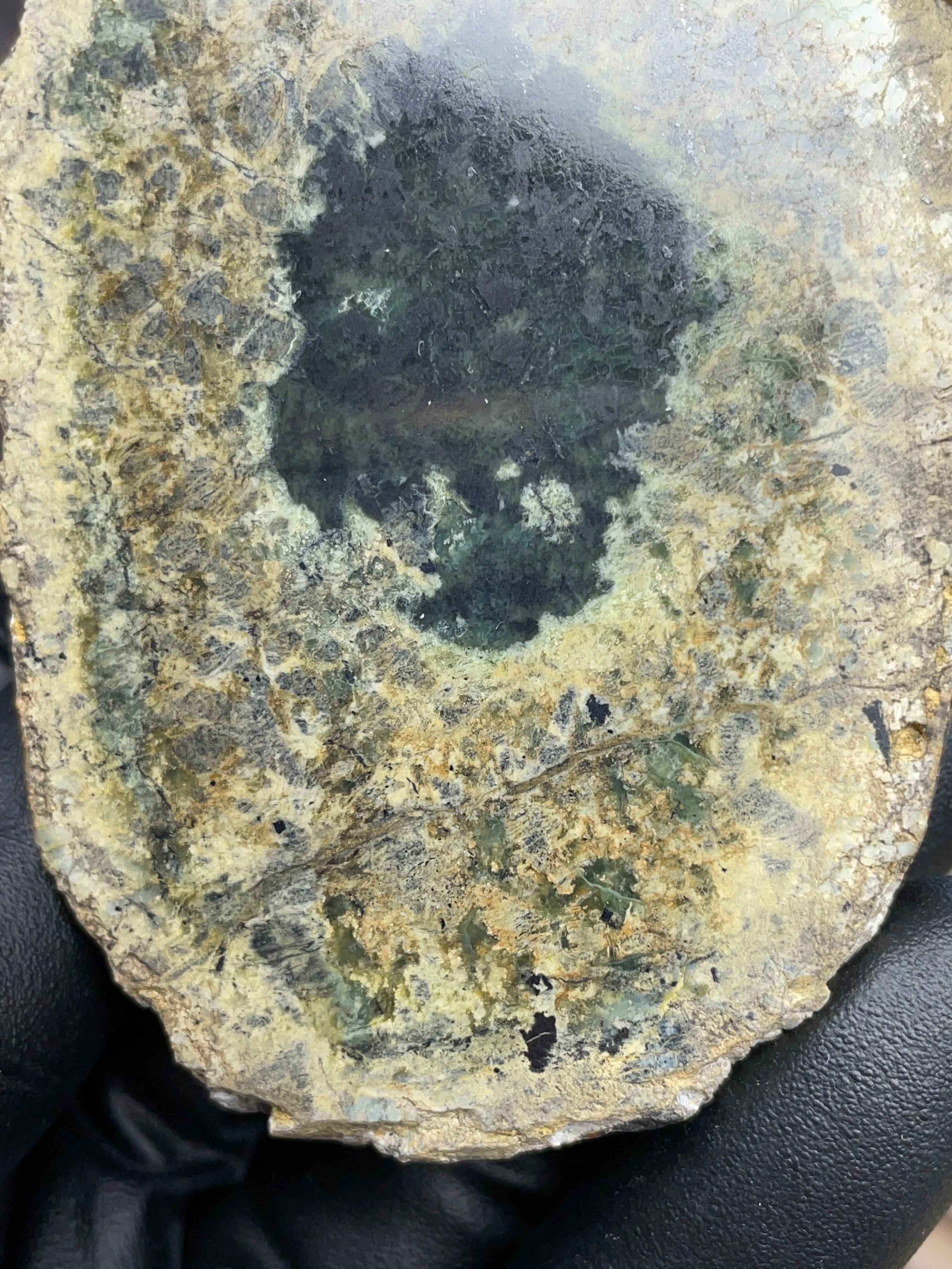 Hand-Collected Serpentine with Natural Jade Core | Raw & Polished StoneBorn Specimen