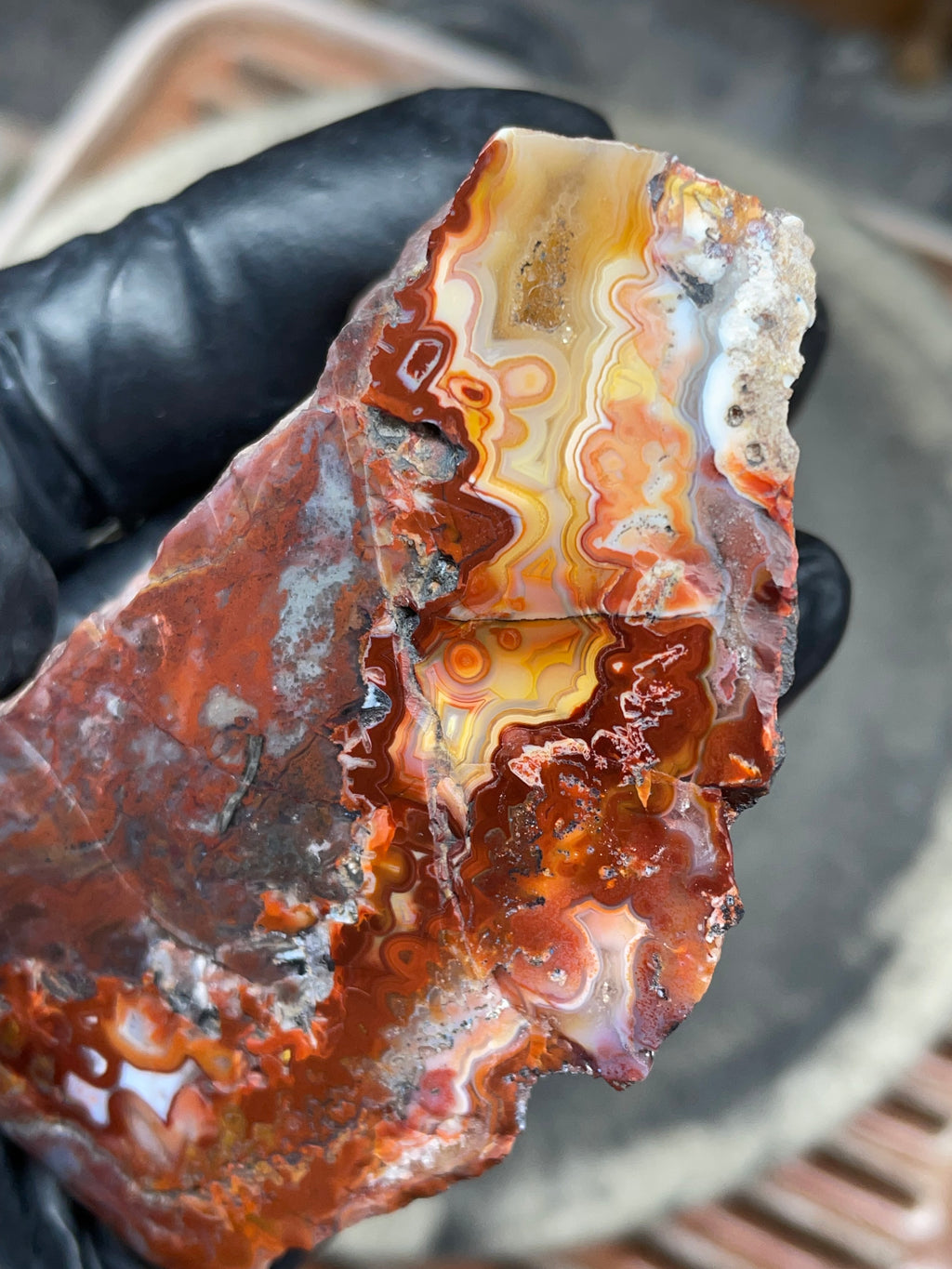 StoneBorn Creations — Hand-Polished Banded Agate (Curved Flat-Lap Polish)