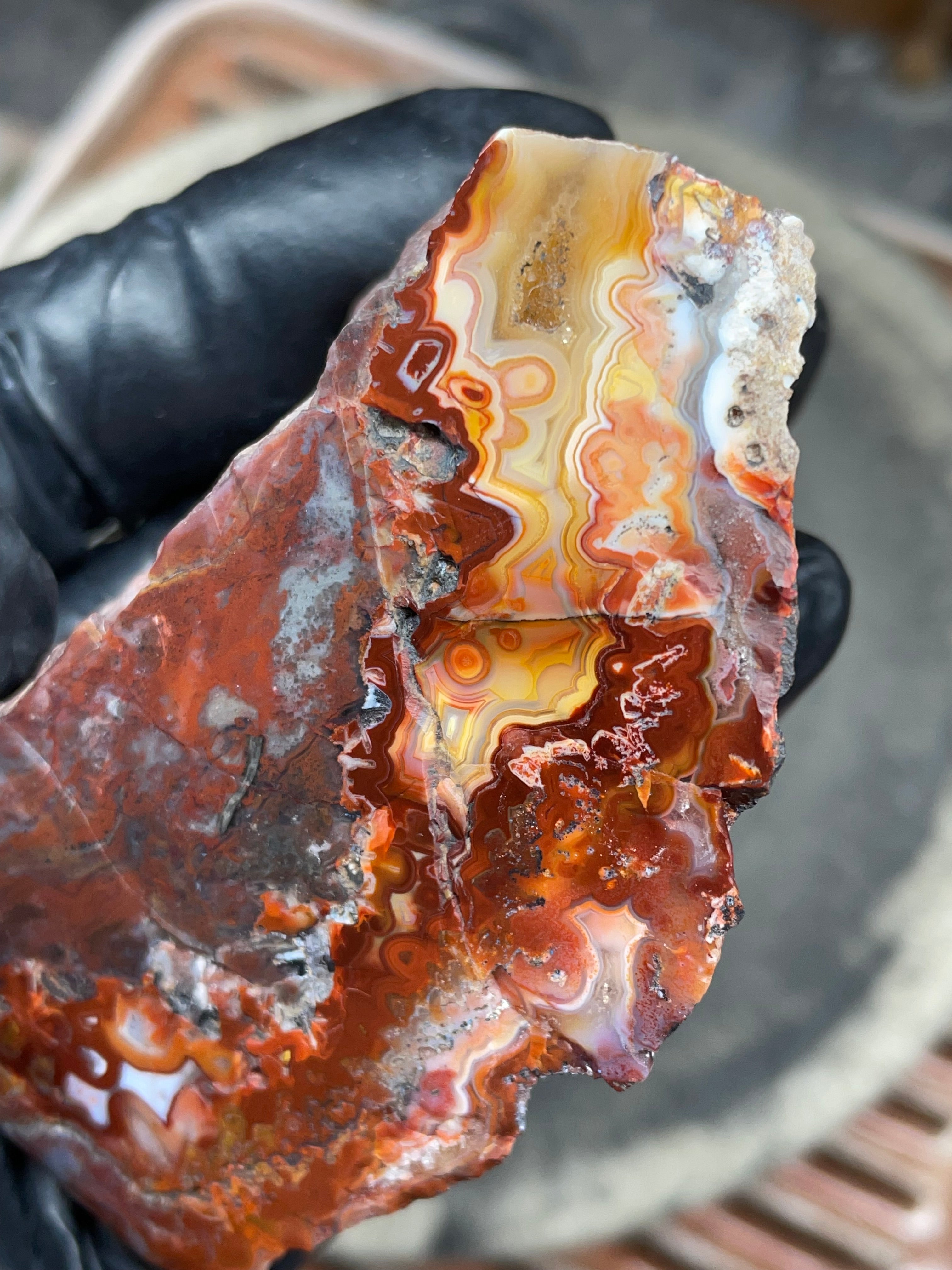 StoneBorn Creations — Hand-Polished Banded Agate (Curved Flat-Lap Polish)