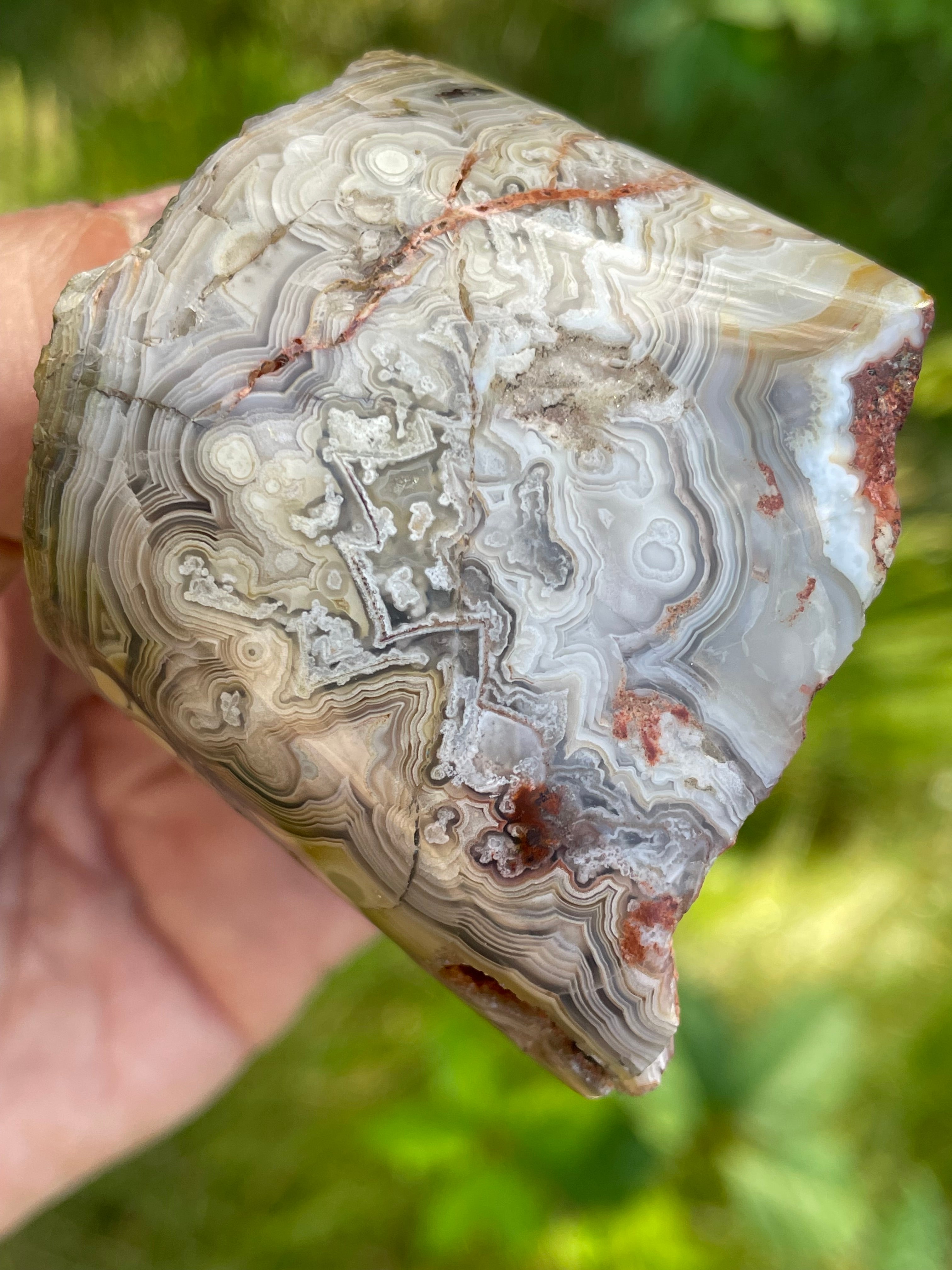 StoneBorn Creations Hand-Polished Lace Agate Freeform with Intricate Fortification Banding, Orbicular Eyes & Natural Druzy Quartz Pocket