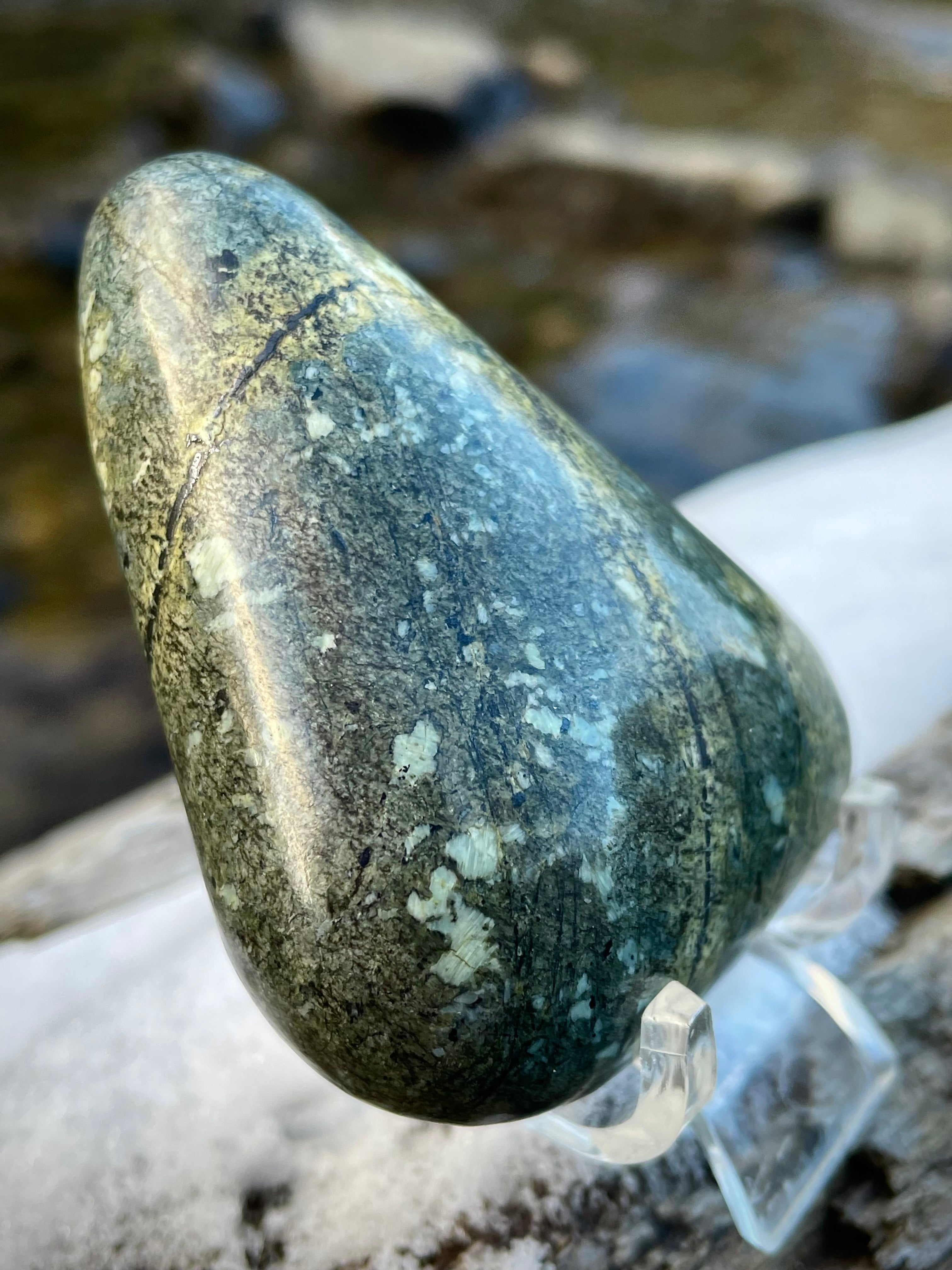 🌲 Polished Vermont Greenstone – Glacial Streamlines & Earth-Tone Veins (Hand-Collected & Polished)