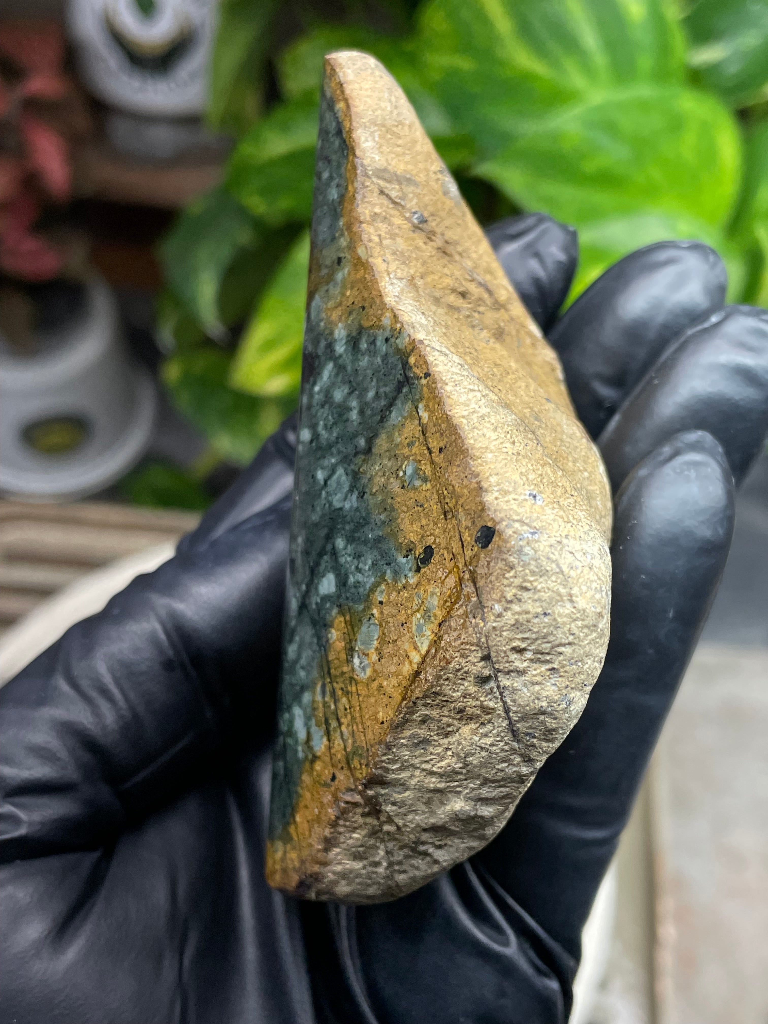 StoneBorn Creations Hand-Polished Vermont Greenstone with Golden Earth Matrix, Speckled Mineral Inclusions & Freeform Curved Finish