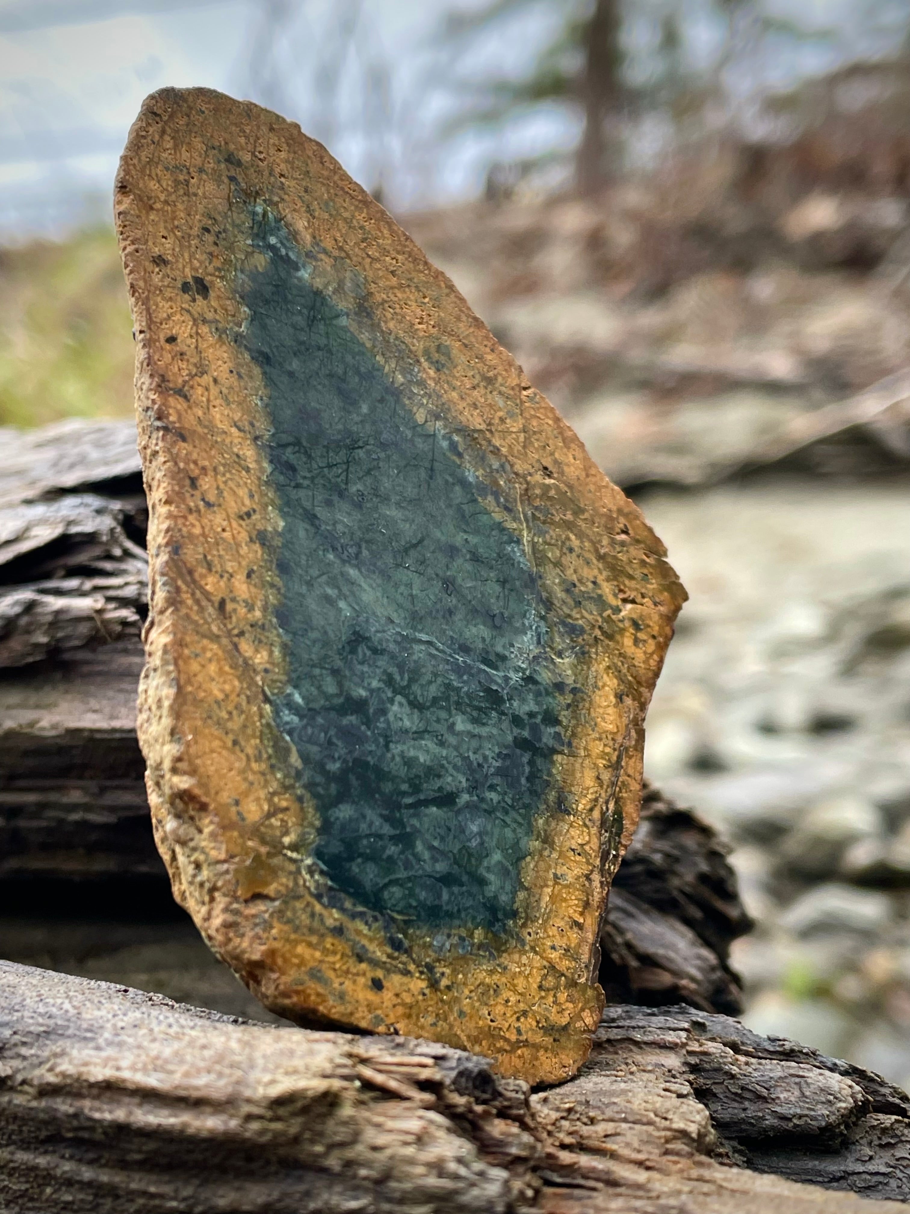 🌲 Vermont Green Serpentine Core Slice – Natural Golden Rind