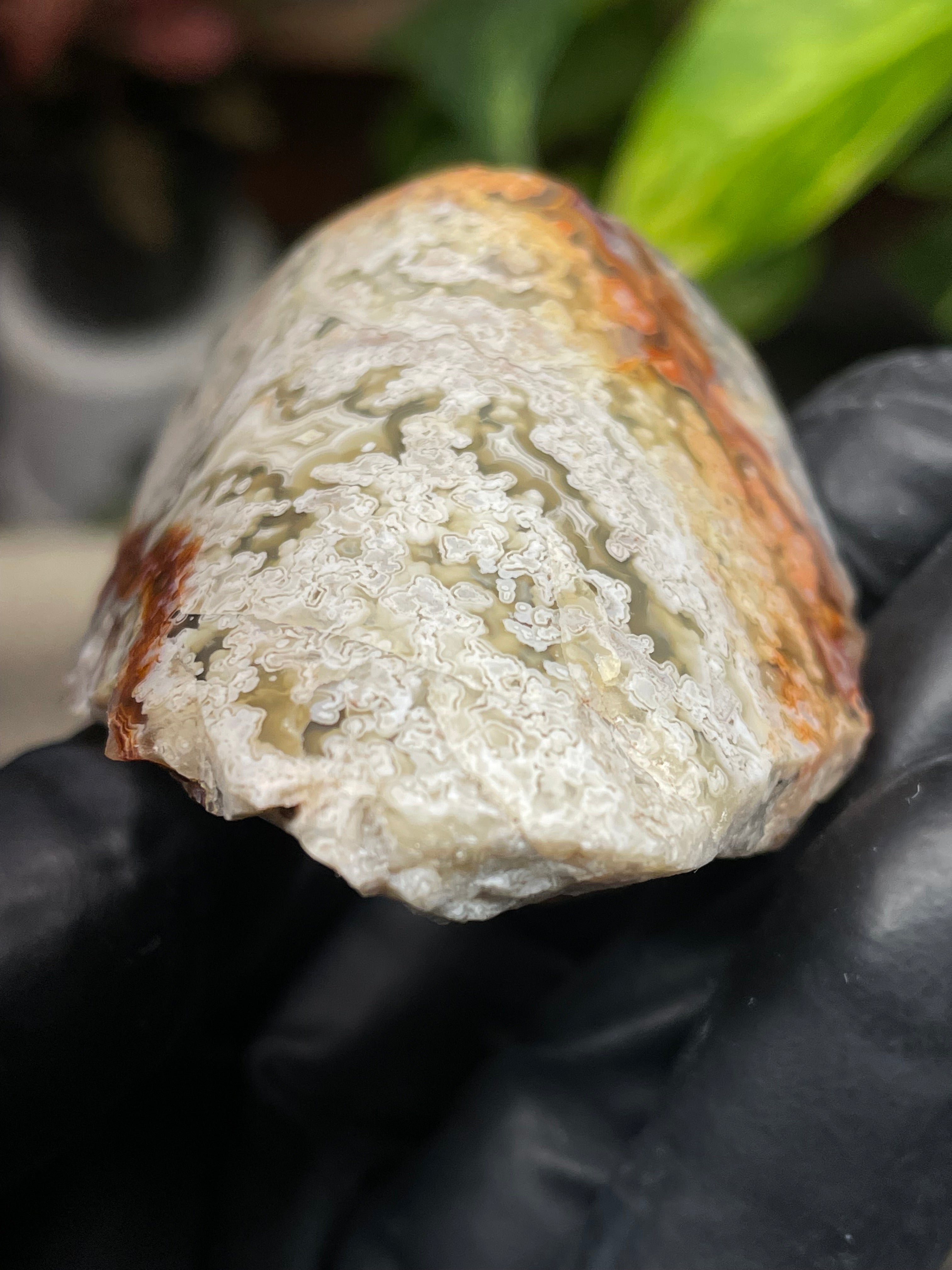 StoneBorn Creations Hand-Polished Lace Agate with Intricate White Plume Banding, Earth Tones & Natural Freeform Finish