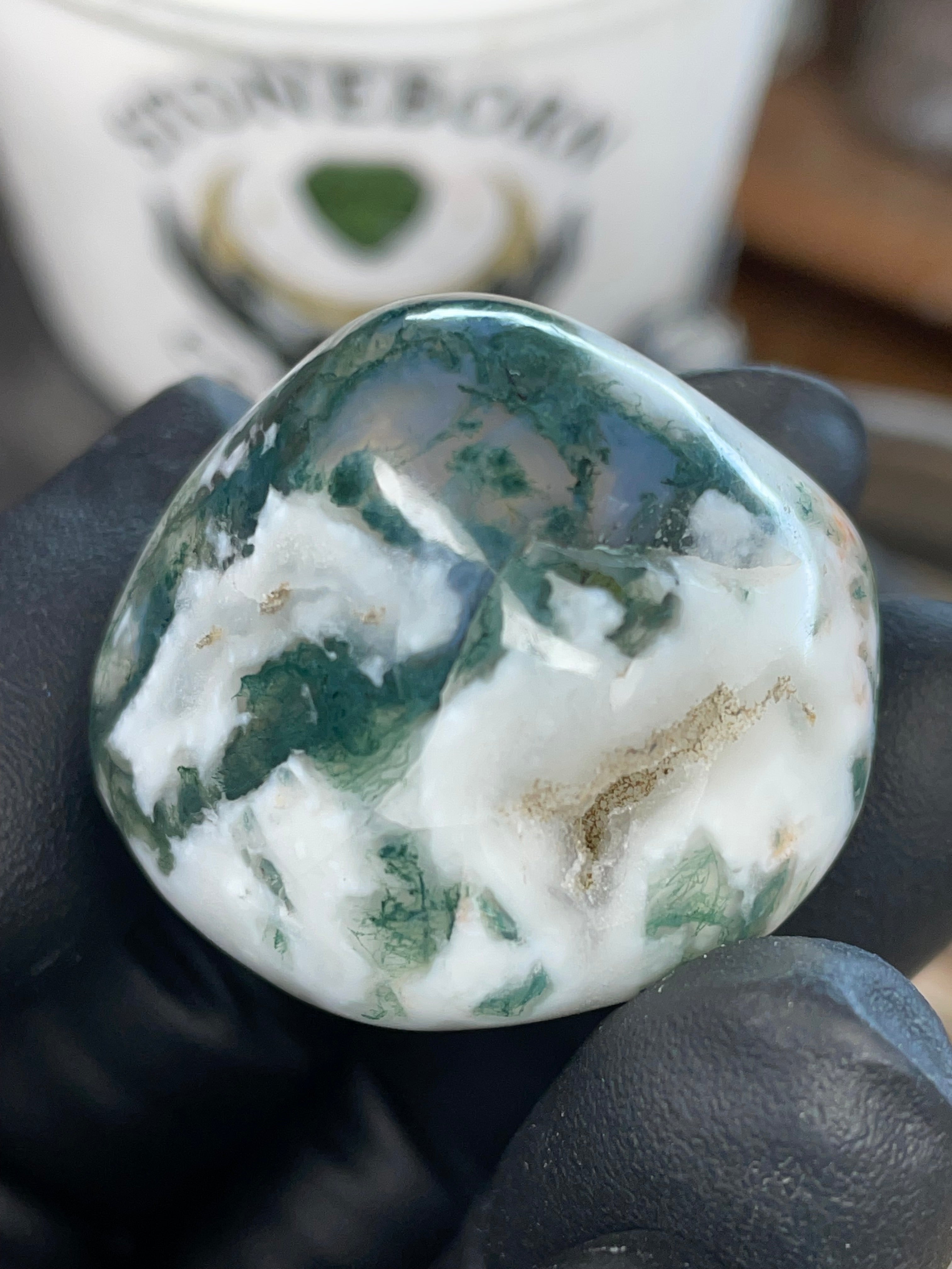 Tree Agate — Hand Polished Stone