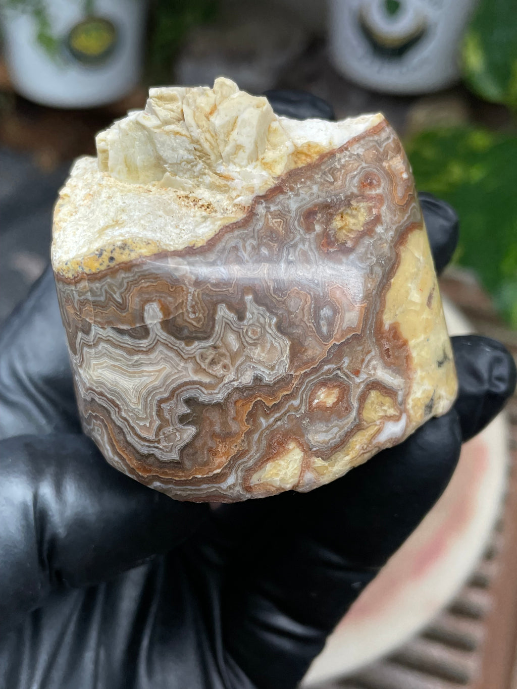 StoneBorn Creations Hand-Polished Banded Lace Agate with Natural Raw Top and Base – Intricate Earth-Toned Banding Freeform Finish