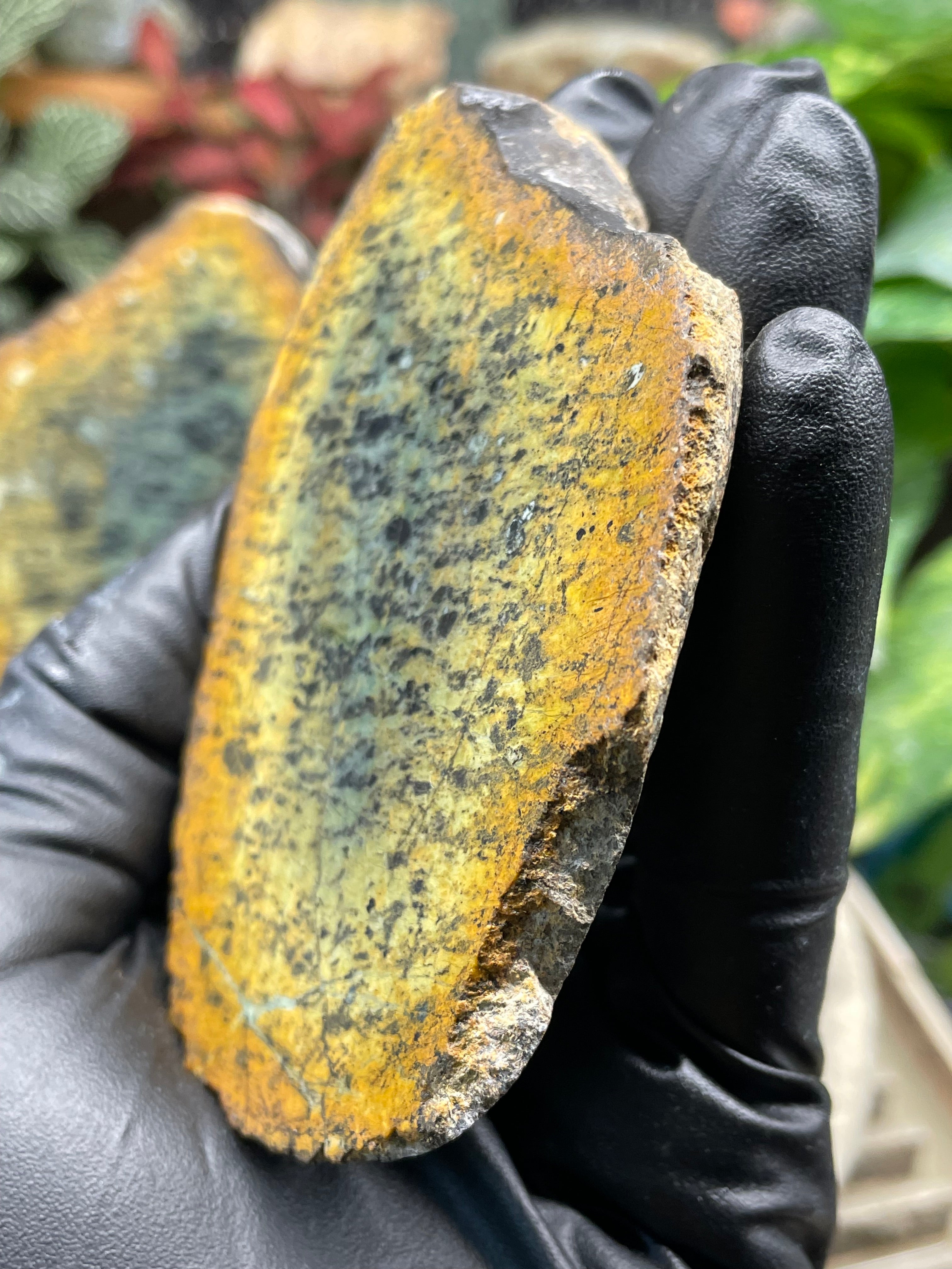 StoneBorn Creations Hand-Polished Vermont Greenstone Pair with Earthy Ochre Weathering and Natural Black Mineral Patterning – Freeform Display Halves