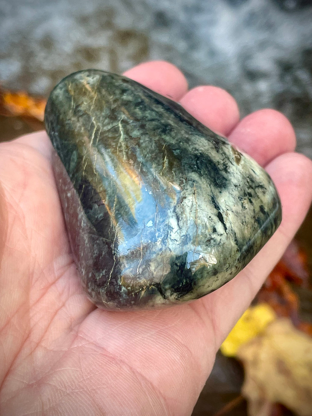 Polished Vermont Actinolite With Golden Tremolite Blades • Rare Crystal Formation