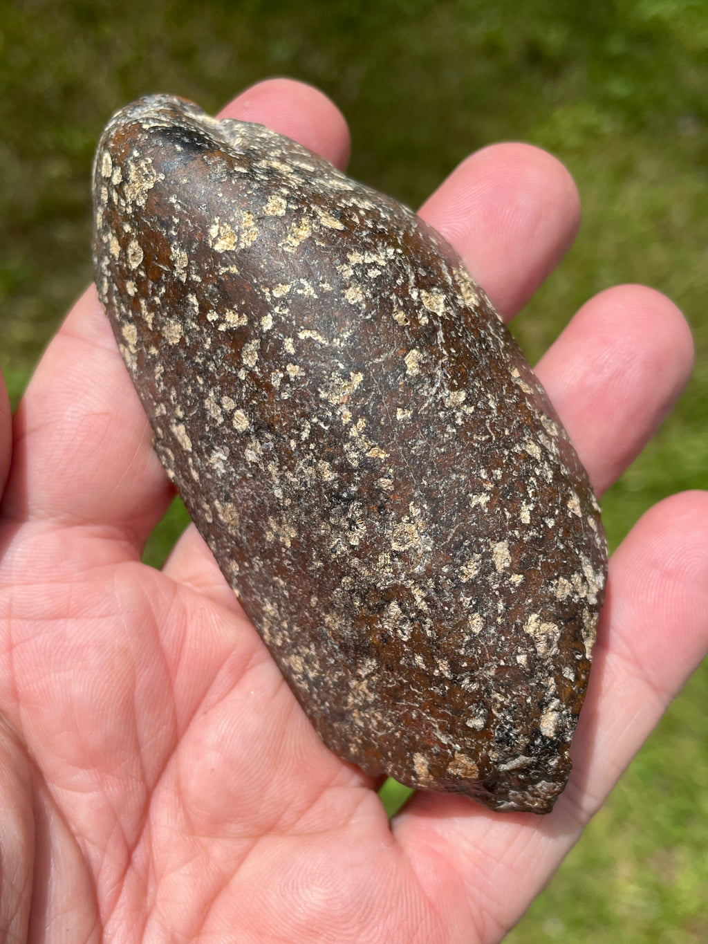 StoneBorn Creations Hand-Polished Vermont Serpentine Freeform Pair with Black Mineral Inclusions, Earth-Toned Matrix and Natural Split Display