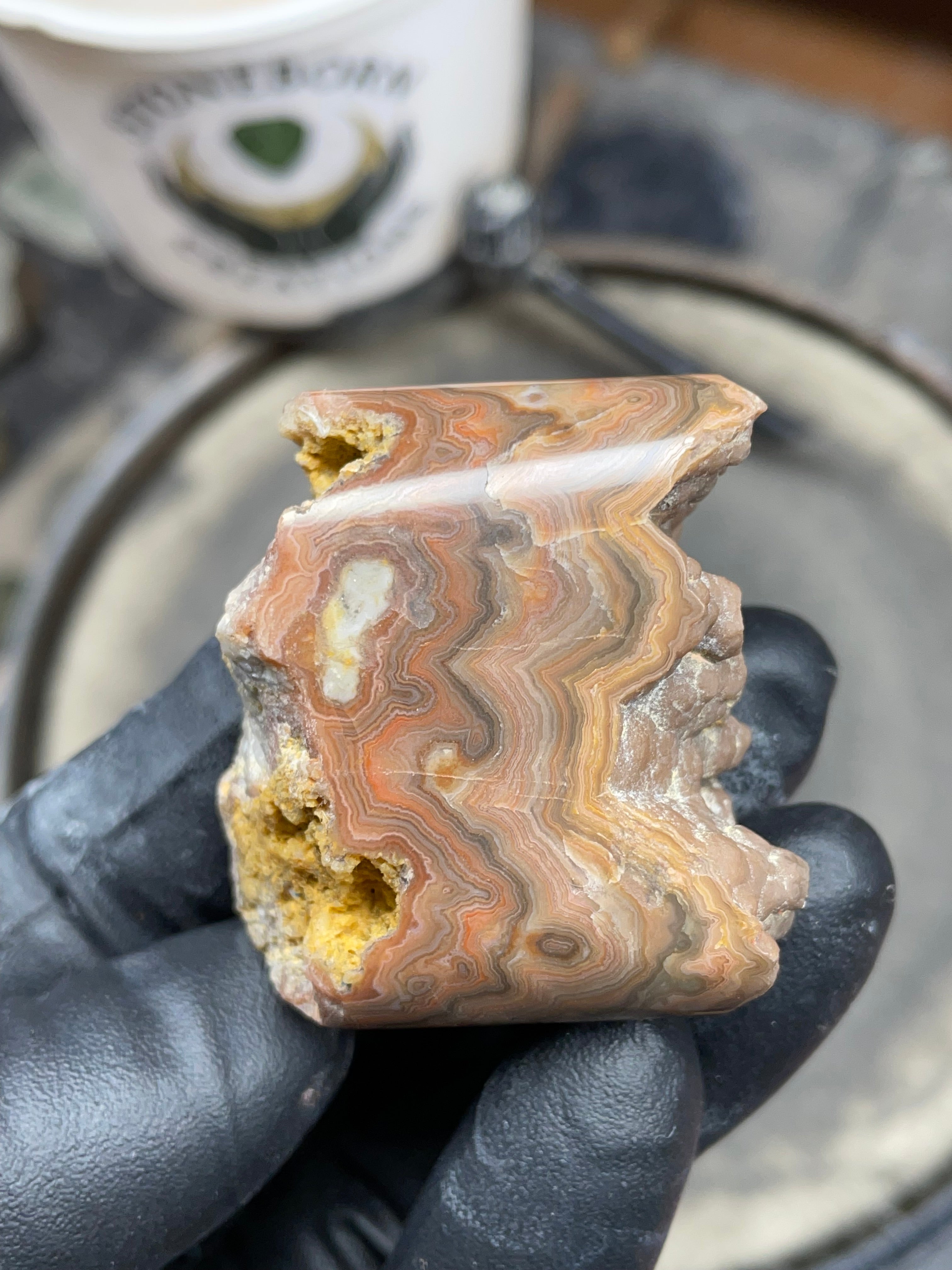 StoneBorn Creations Hand-Polished Georgia Crazy Lace Agate with Natural Quartz Vein & Raw Matrix