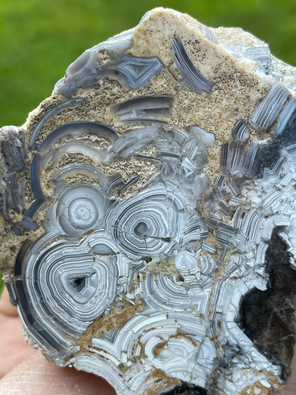 StoneBorn Creations Hand-Polished Tuxedo Lace Agate Bookmatched Pair | One-of-a-Kind Natural Display Stones