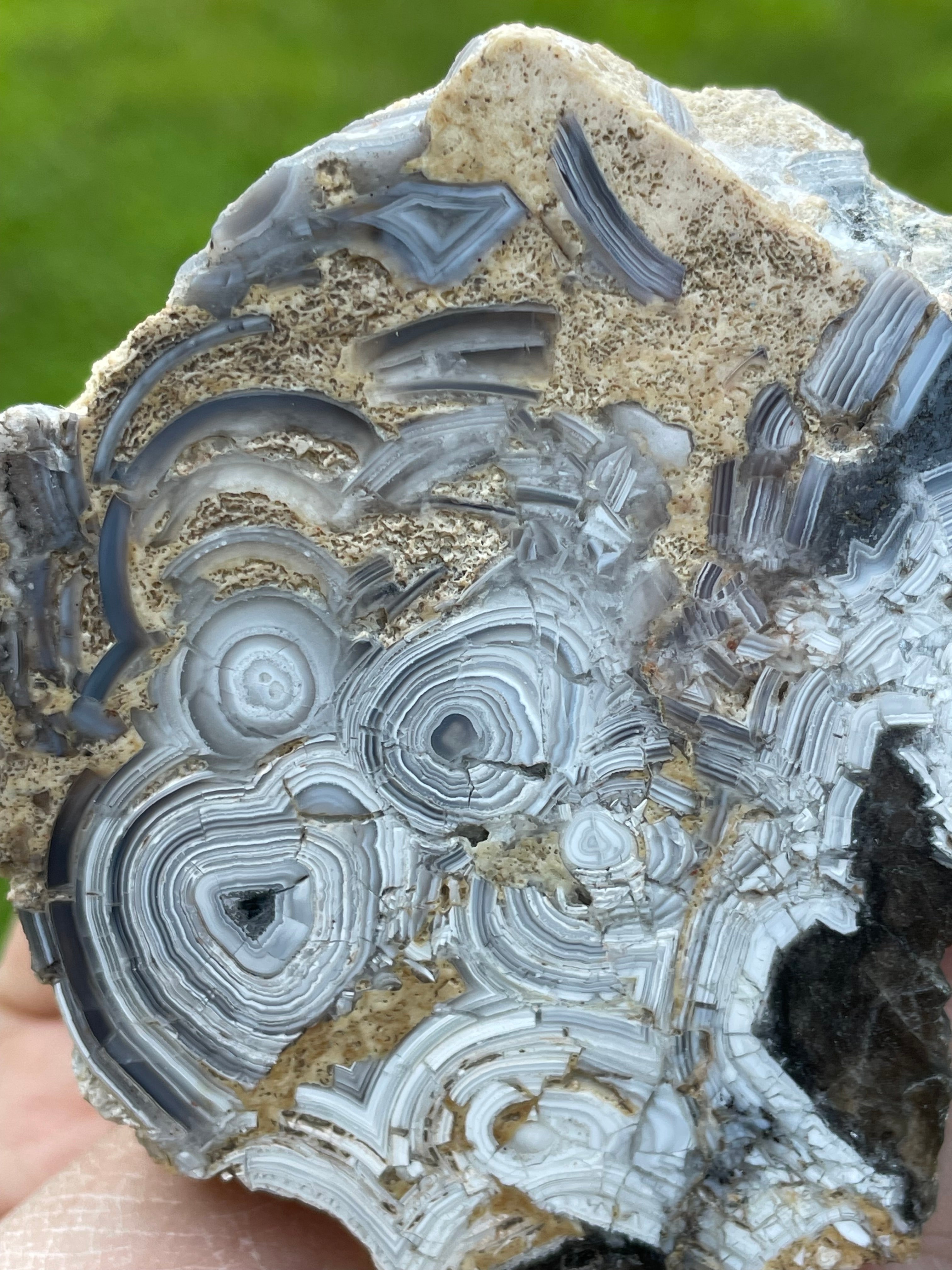 StoneBorn Creations Hand-Polished Tuxedo Lace Agate Bookmatched Pair | One-of-a-Kind Natural Display Stones