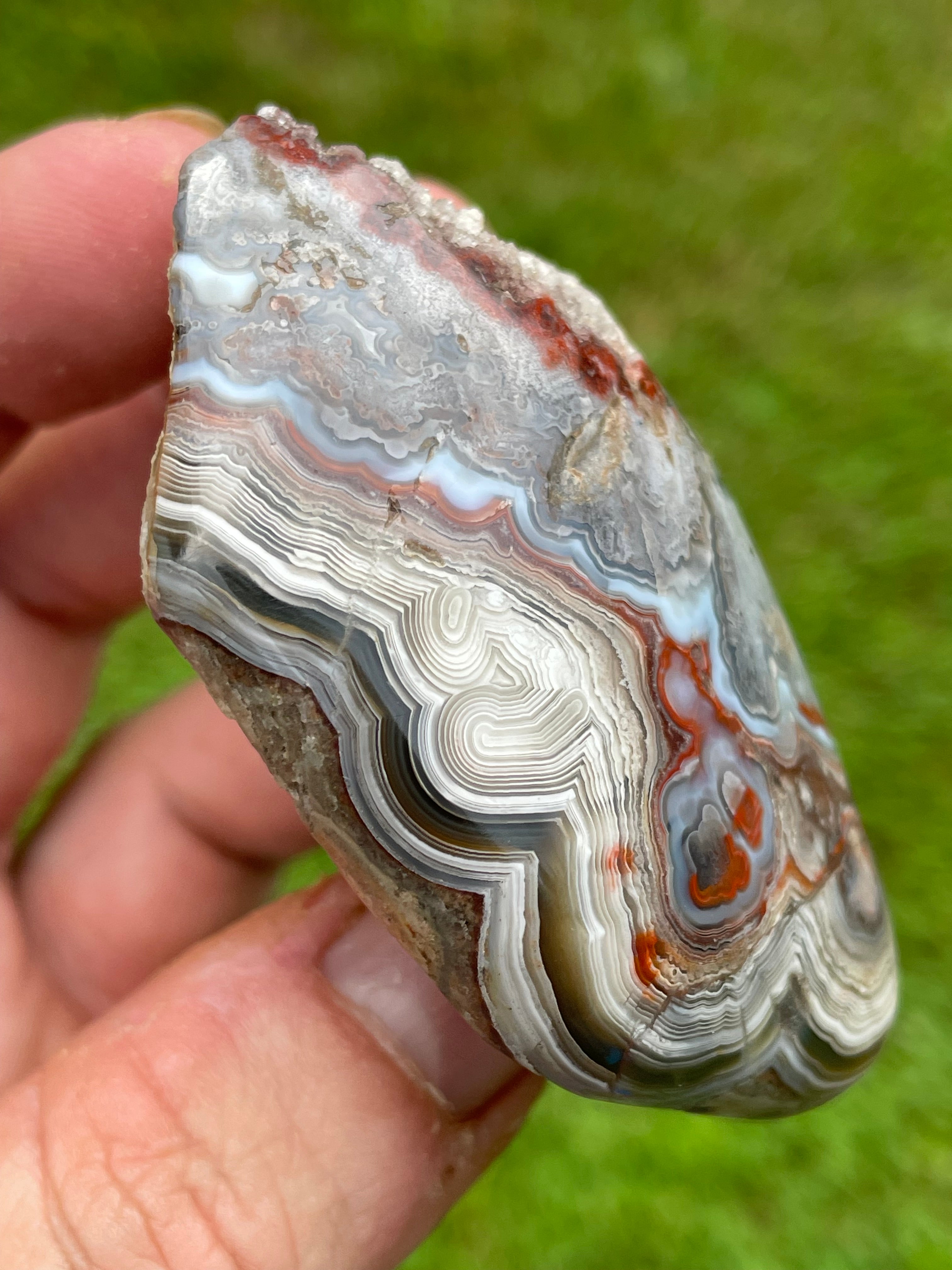 StoneBorn Creations Hand-Polished Curved Lace Agate Freeform with Natural Druzy Quartz Pocket and Fortification Banding