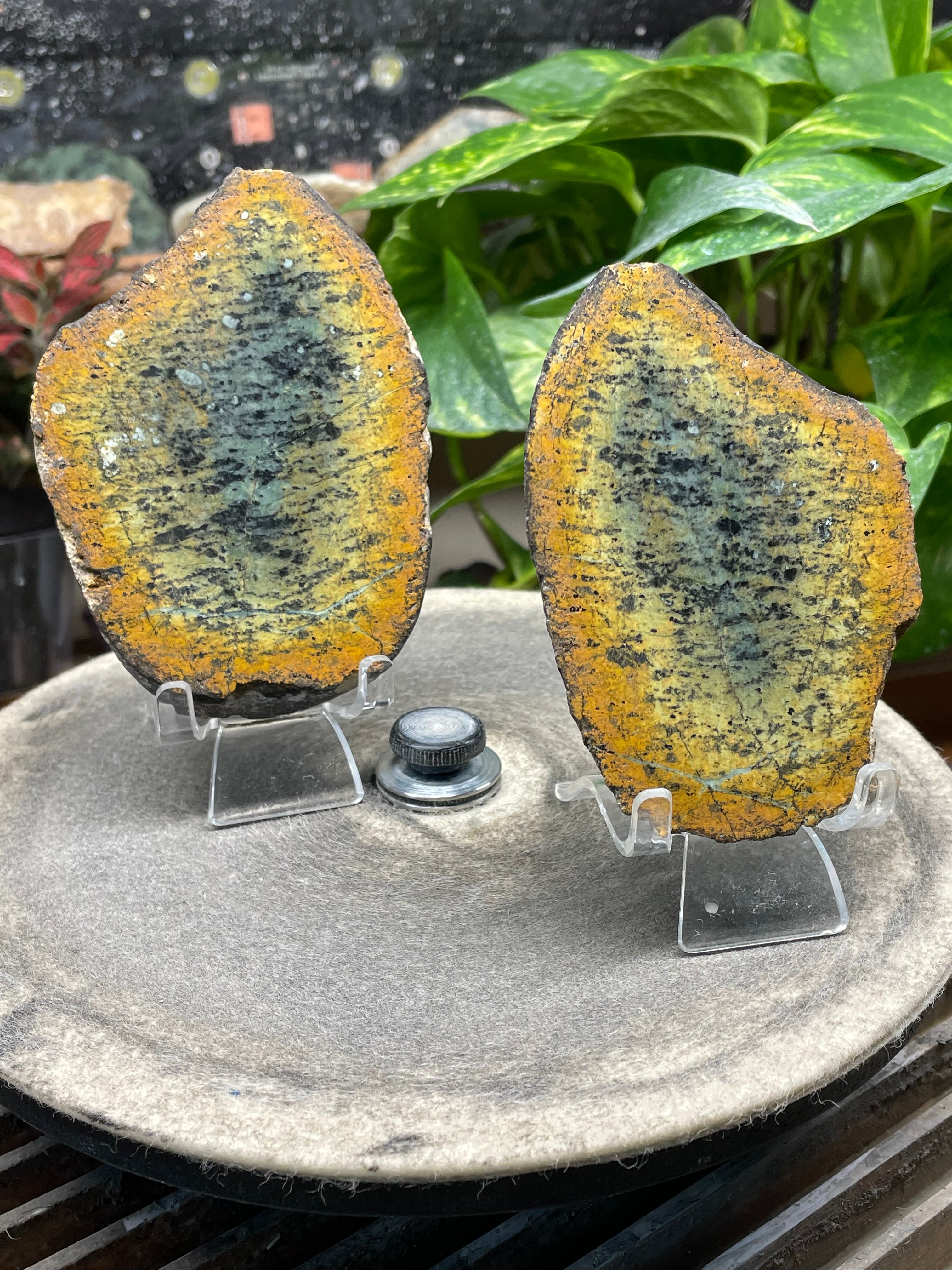 StoneBorn Creations Hand-Polished Vermont Greenstone Pair with Earthy Ochre Weathering and Natural Black Mineral Patterning – Freeform Display Halves