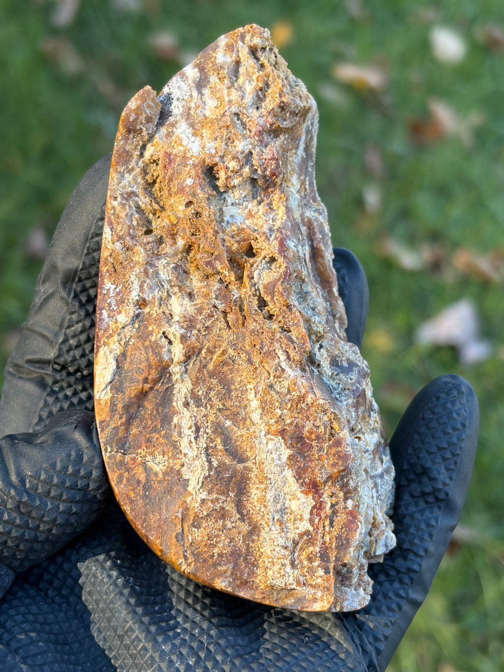 StoneBorn Creations – Natural Agate & Jasper Display Stone | Hand-Polished with Blue-Gray Agate Veins