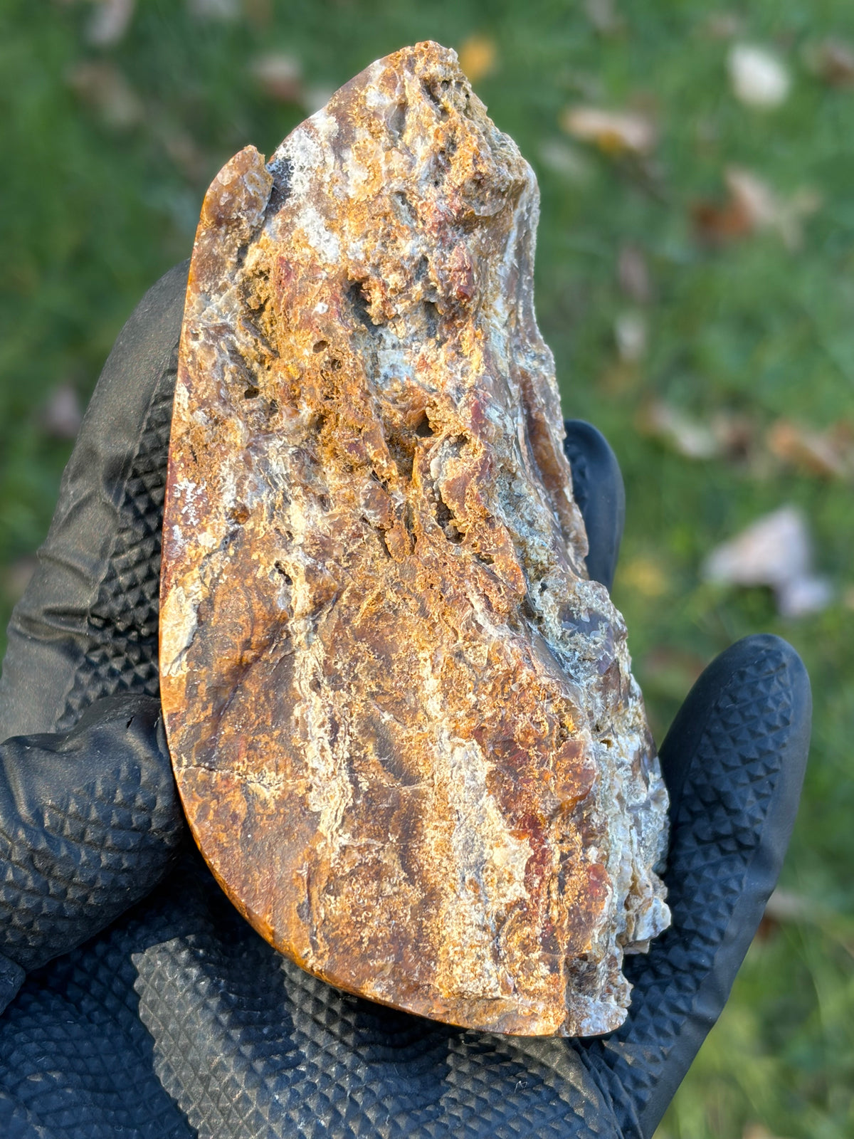 StoneBorn Creations – Natural Agate & Jasper Display Stone | Hand-Polished with Blue-Gray Agate Veins
