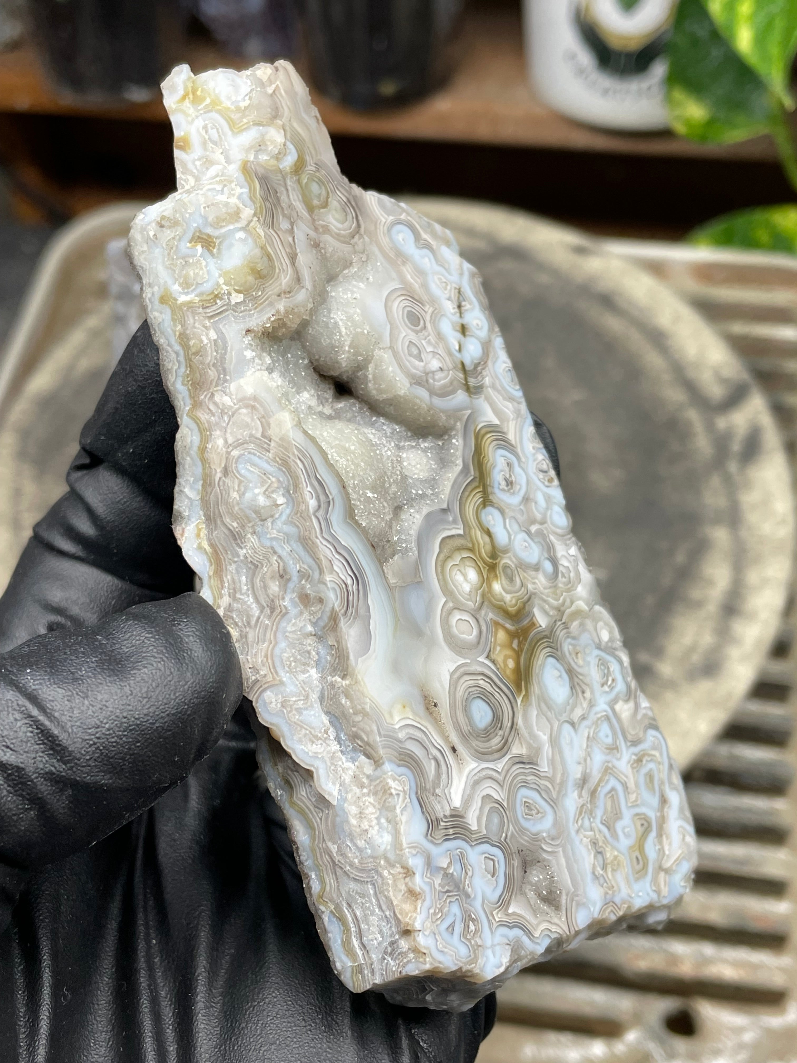 StoneBorn Creations Hand-Polished Lace Agate Pair – River Cut Matching Display Halves with Druzy Crystal Pockets & Intricate Natural Banding