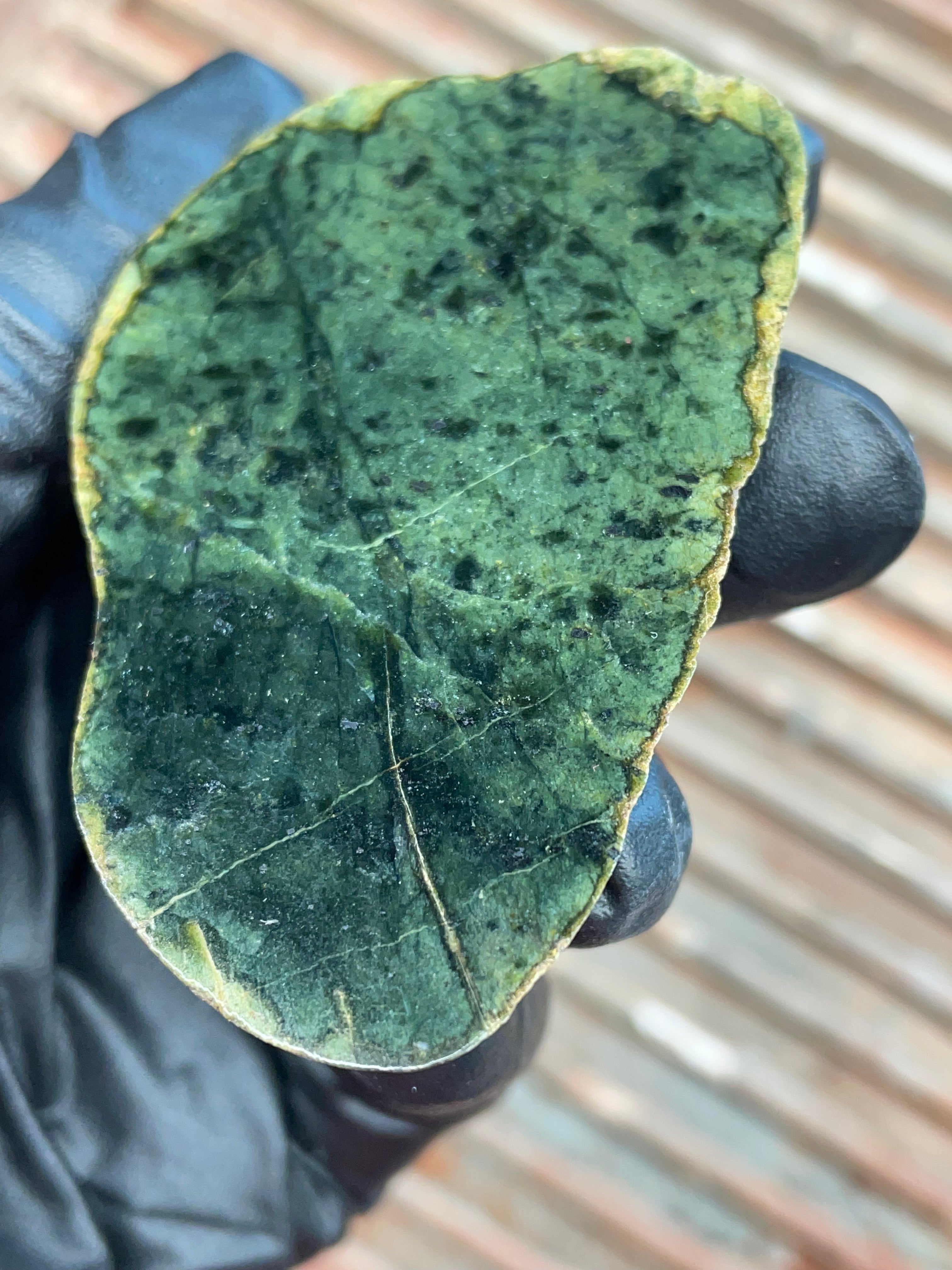 StoneBorn Creations | Polished Vermont Greenstone Slab — Deep Forest Green with Natural Ruby Tones