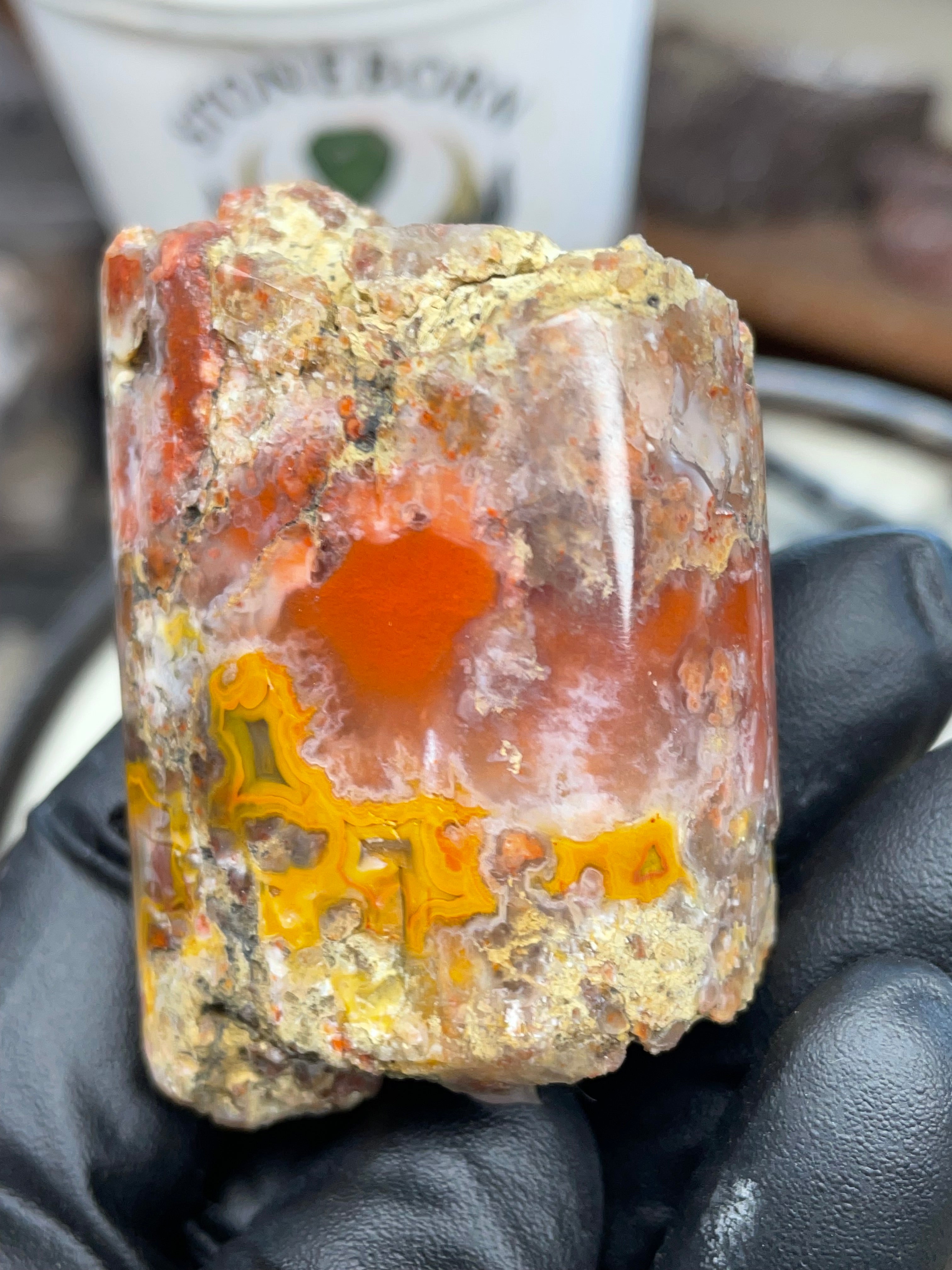 Hand-Polished Banded Agate — Raw & Refined StoneBorn Piece