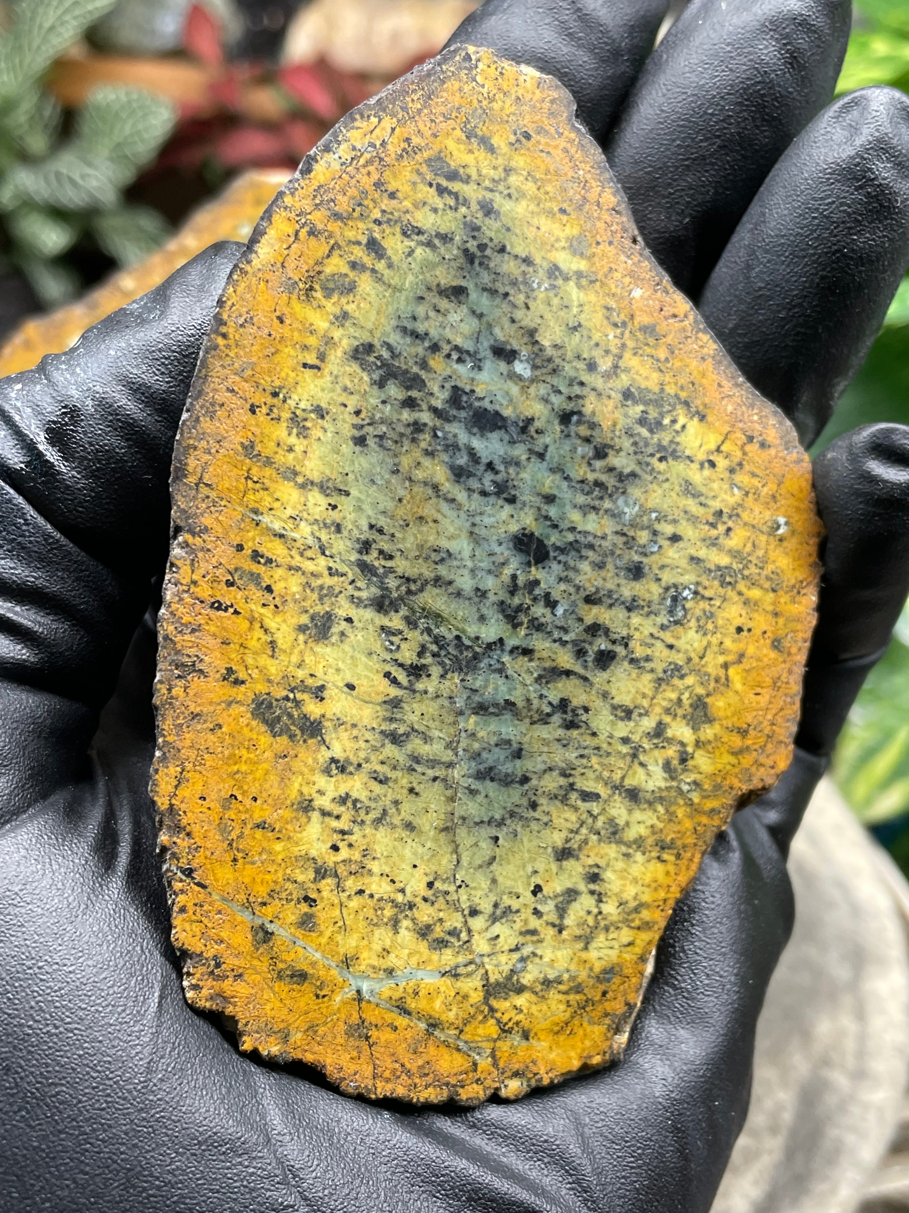 StoneBorn Creations Hand-Polished Vermont Greenstone Pair with Earthy Ochre Weathering and Natural Black Mineral Patterning – Freeform Display Halves