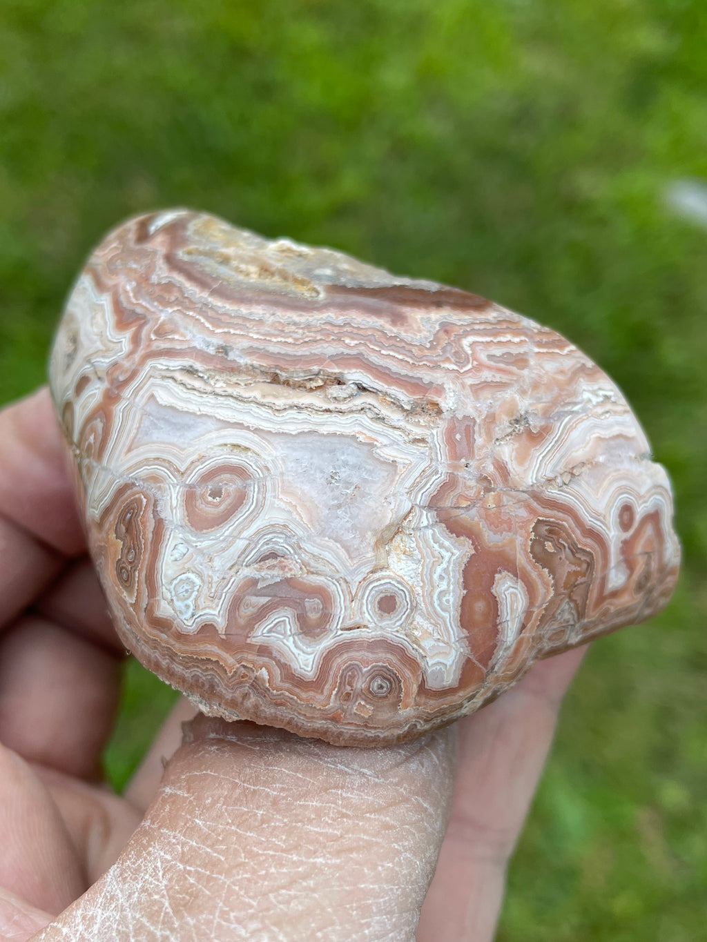 StoneBorn Creations Hand-Polished Georgia Crazy Lace Agate Freeform Display Stone – One-of-a-Kind Natural Art