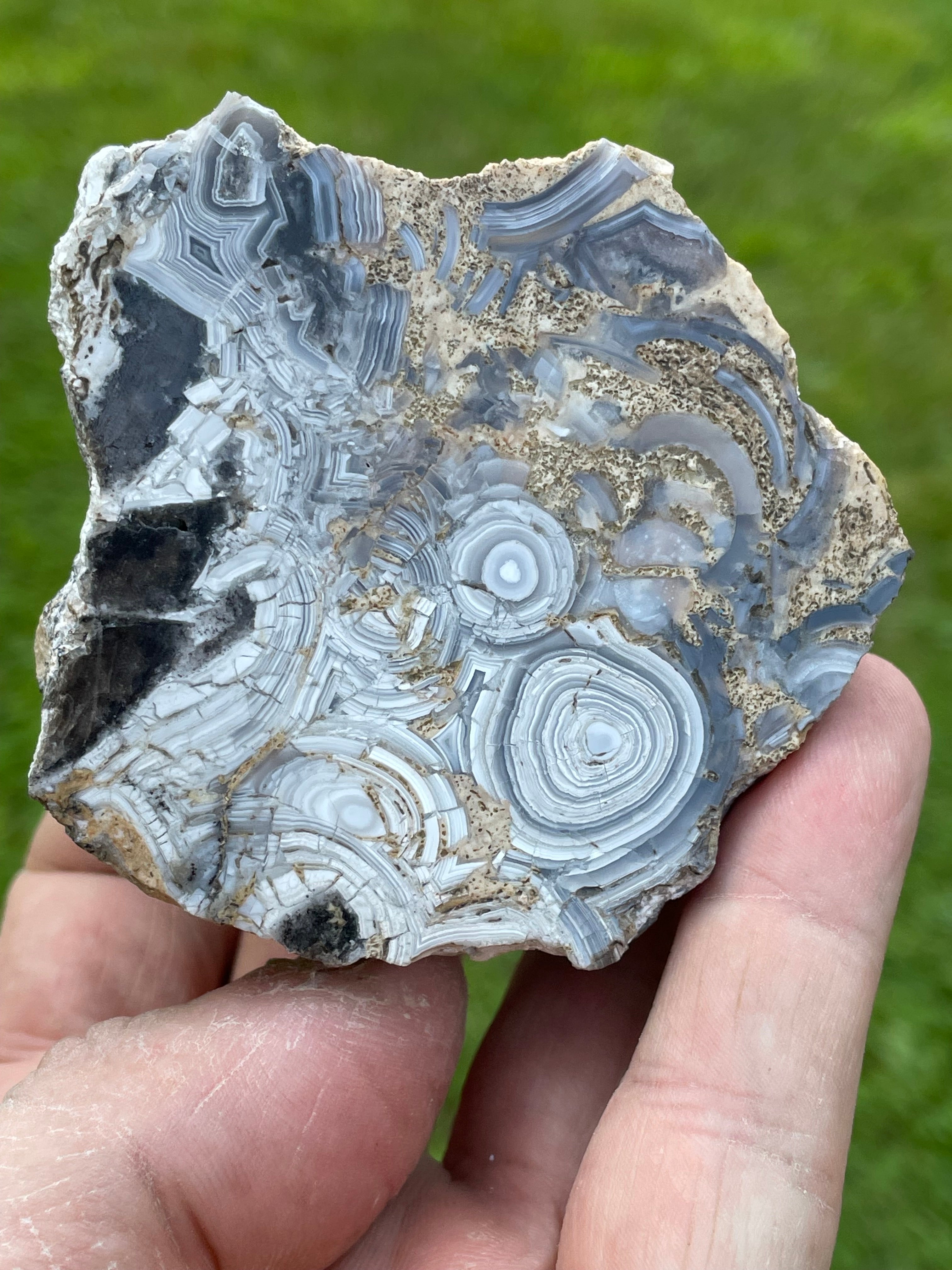 StoneBorn Creations Hand-Polished Tuxedo Lace Agate Bookmatched Pair | One-of-a-Kind Natural Display Stones