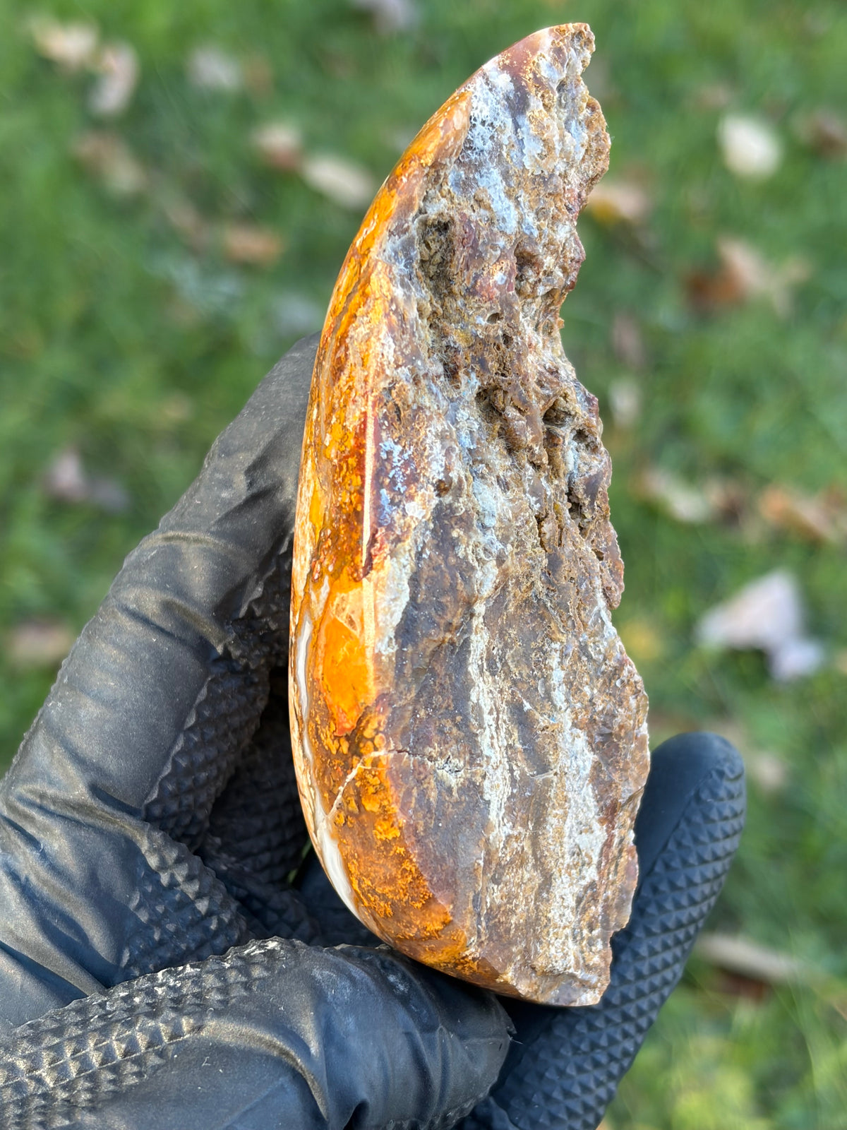StoneBorn Creations – Natural Agate & Jasper Display Stone | Hand-Polished with Blue-Gray Agate Veins